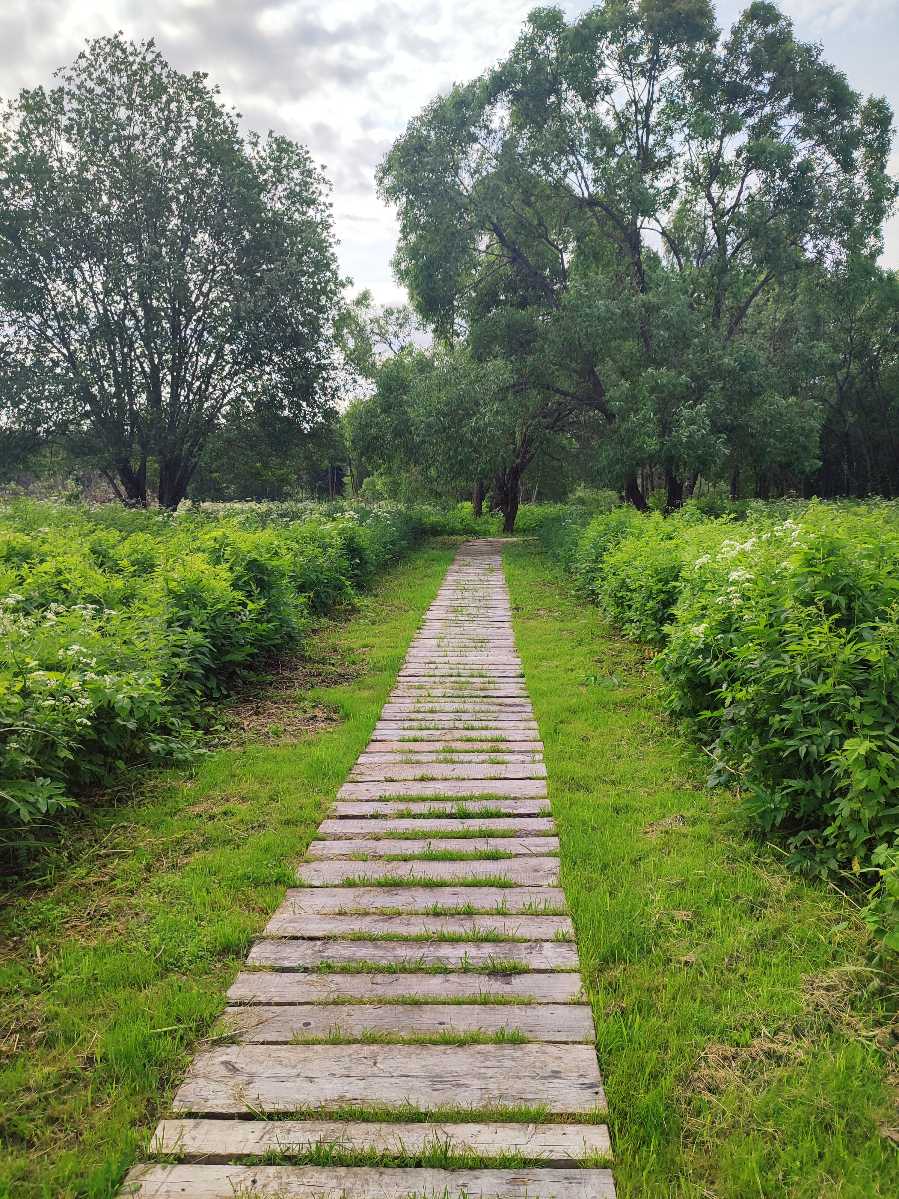 Фото Замытье