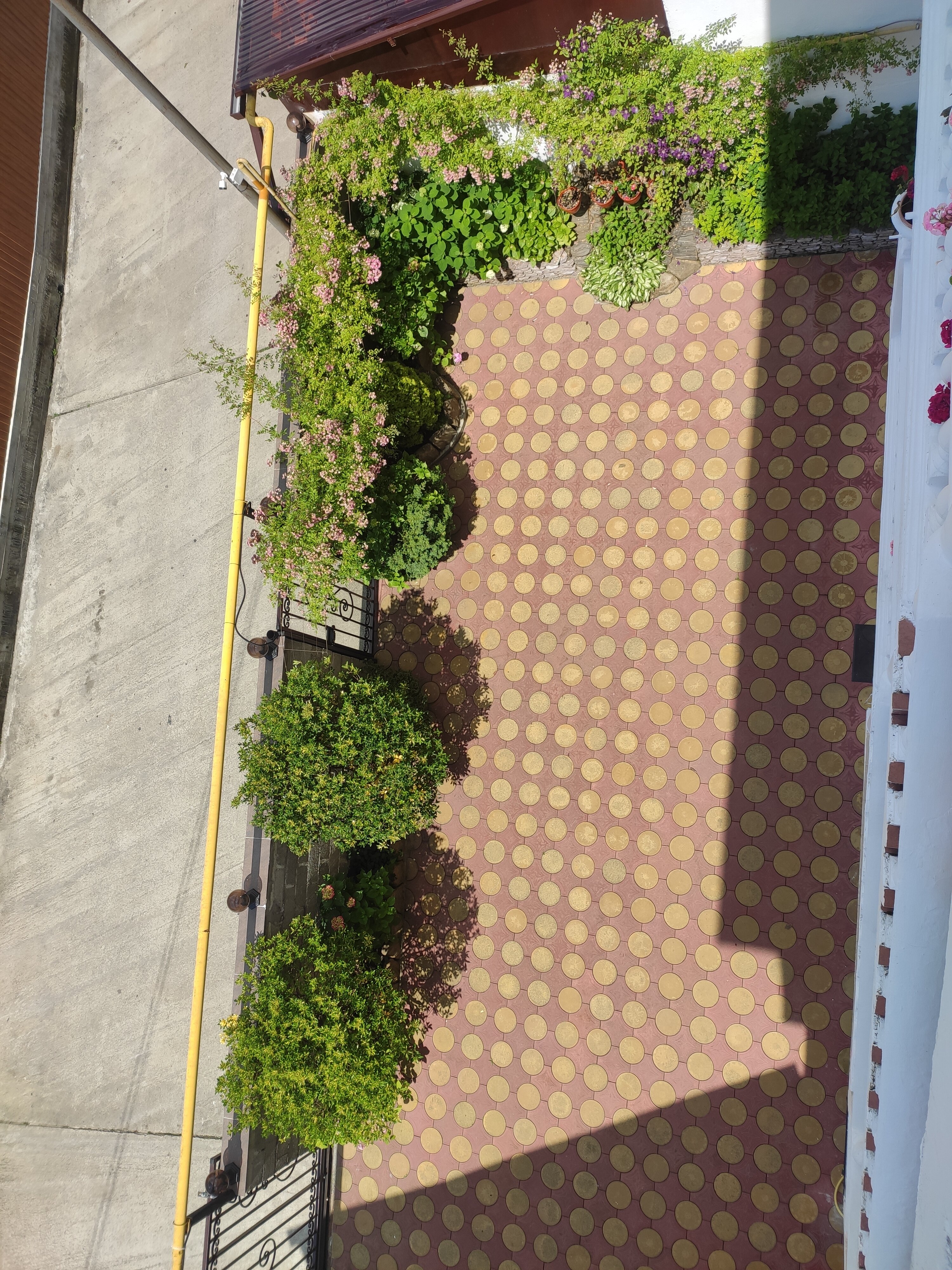 Фото Аврора