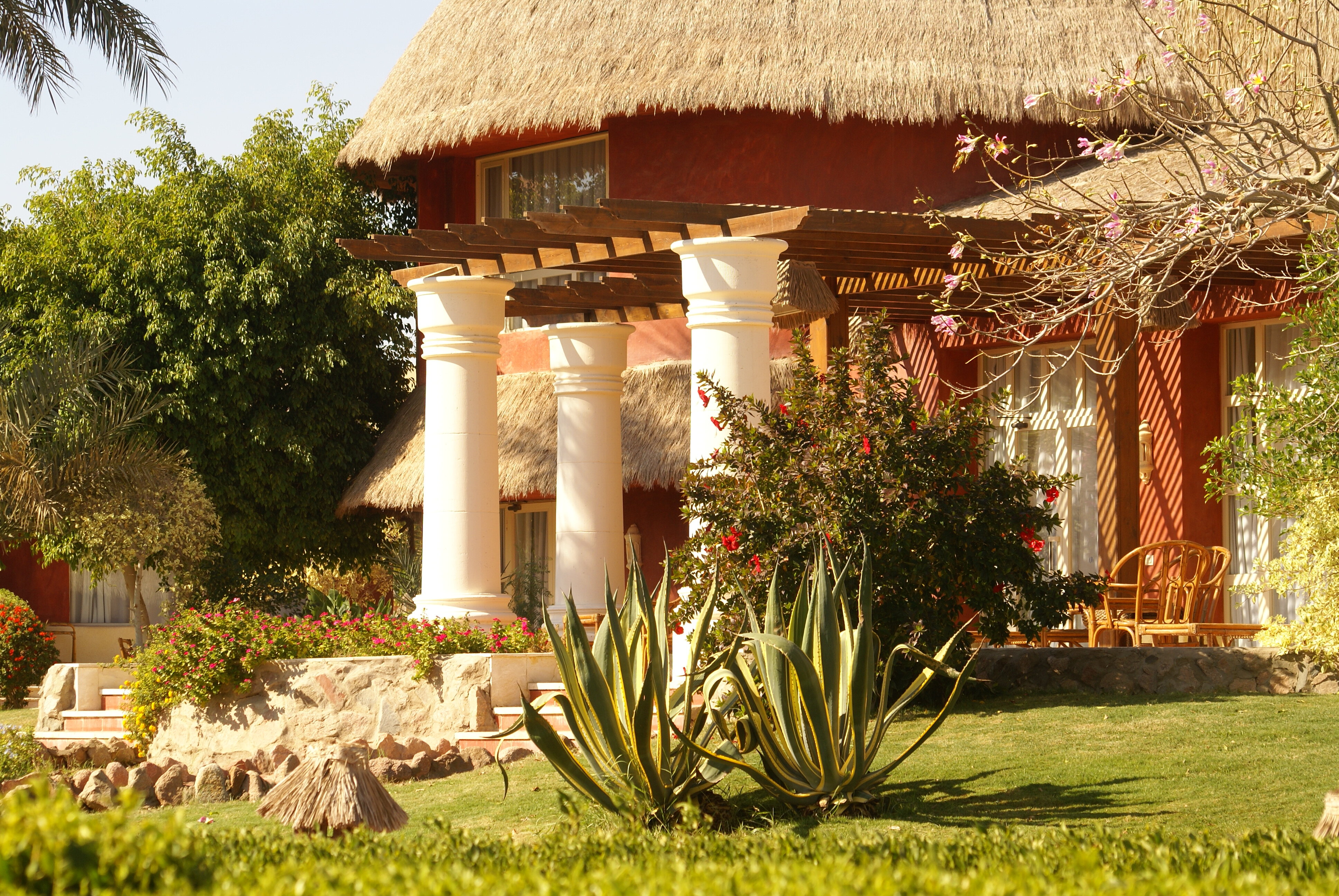 Фото Albatros Laguna Vista Resort