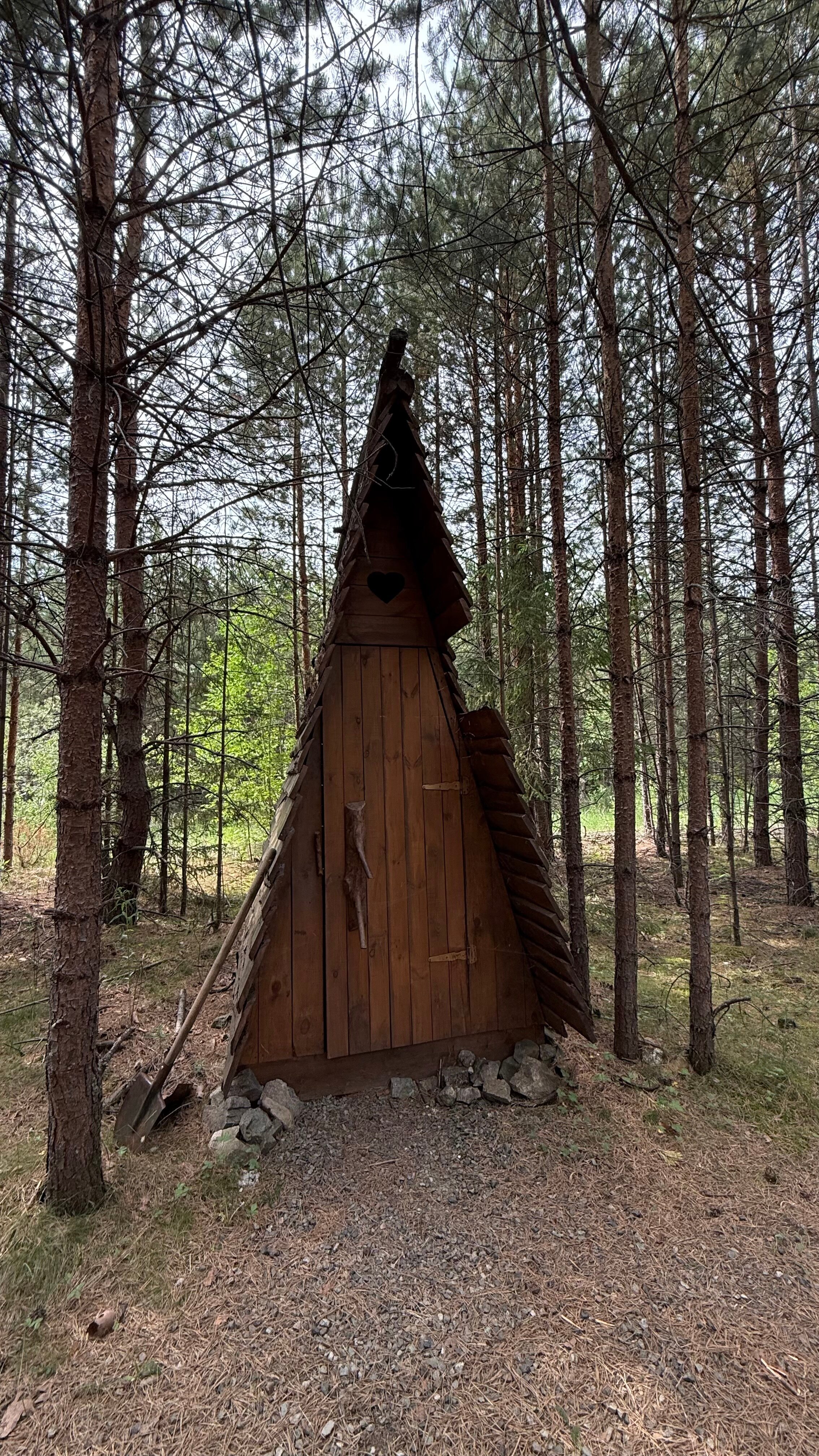 Фото Таежная Рось