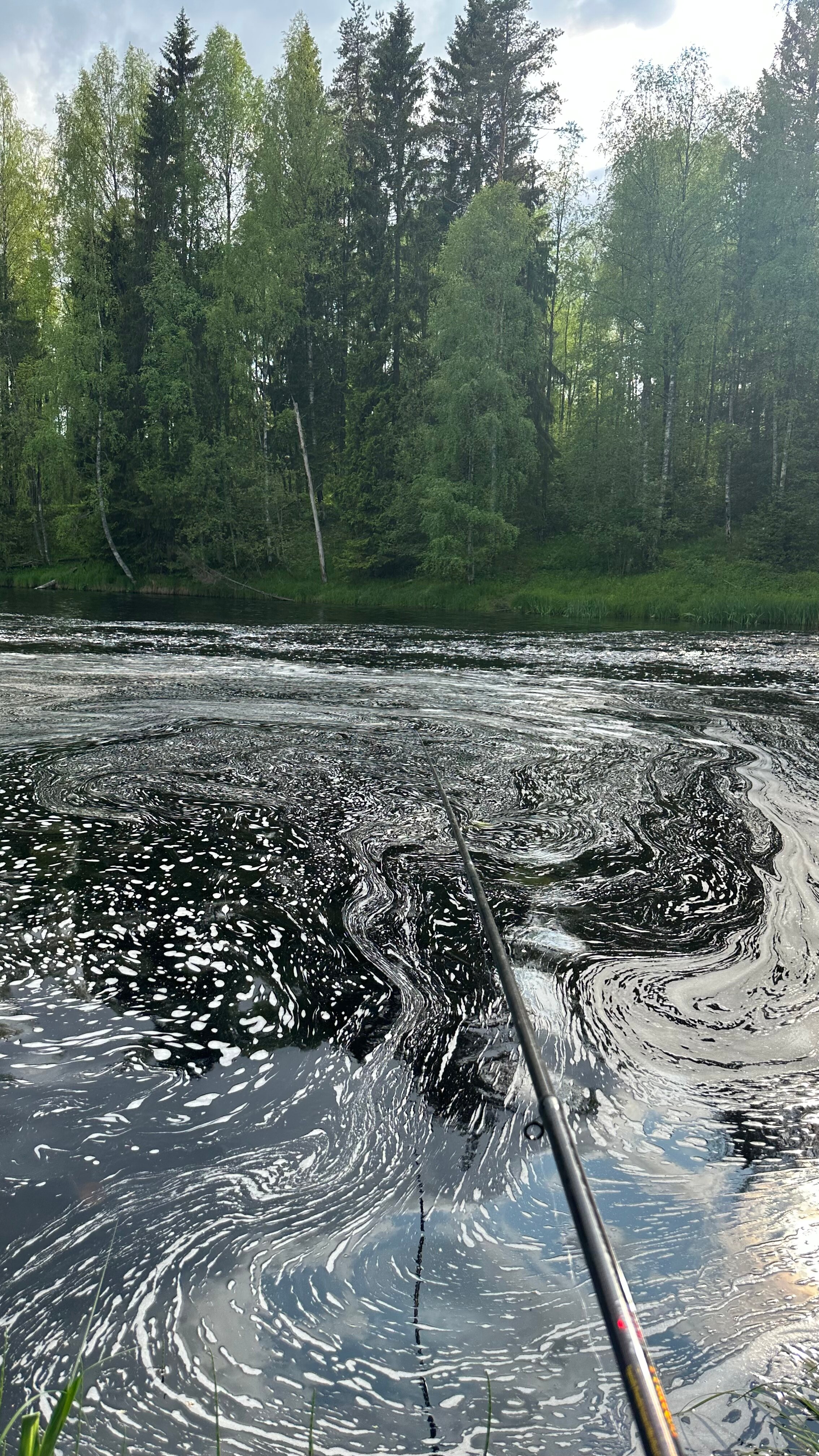 Фото Финский Хутор