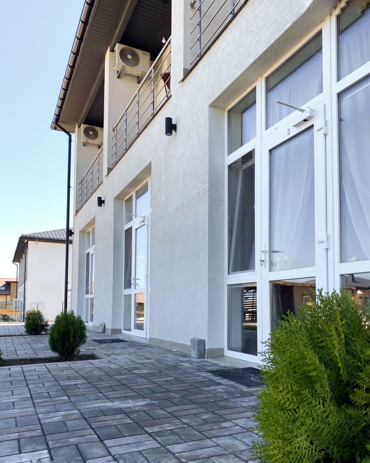 Фото Лаванда