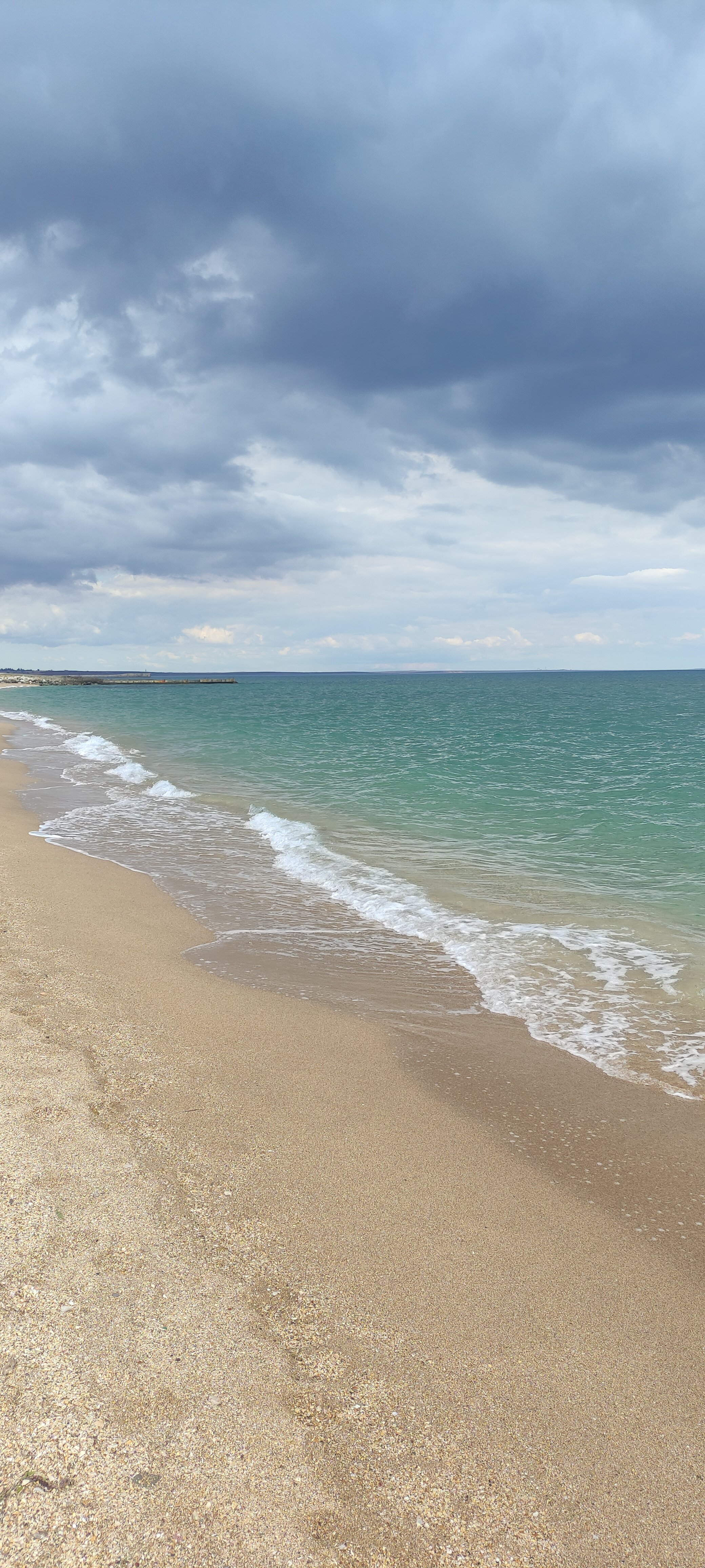 Фото Экзотик