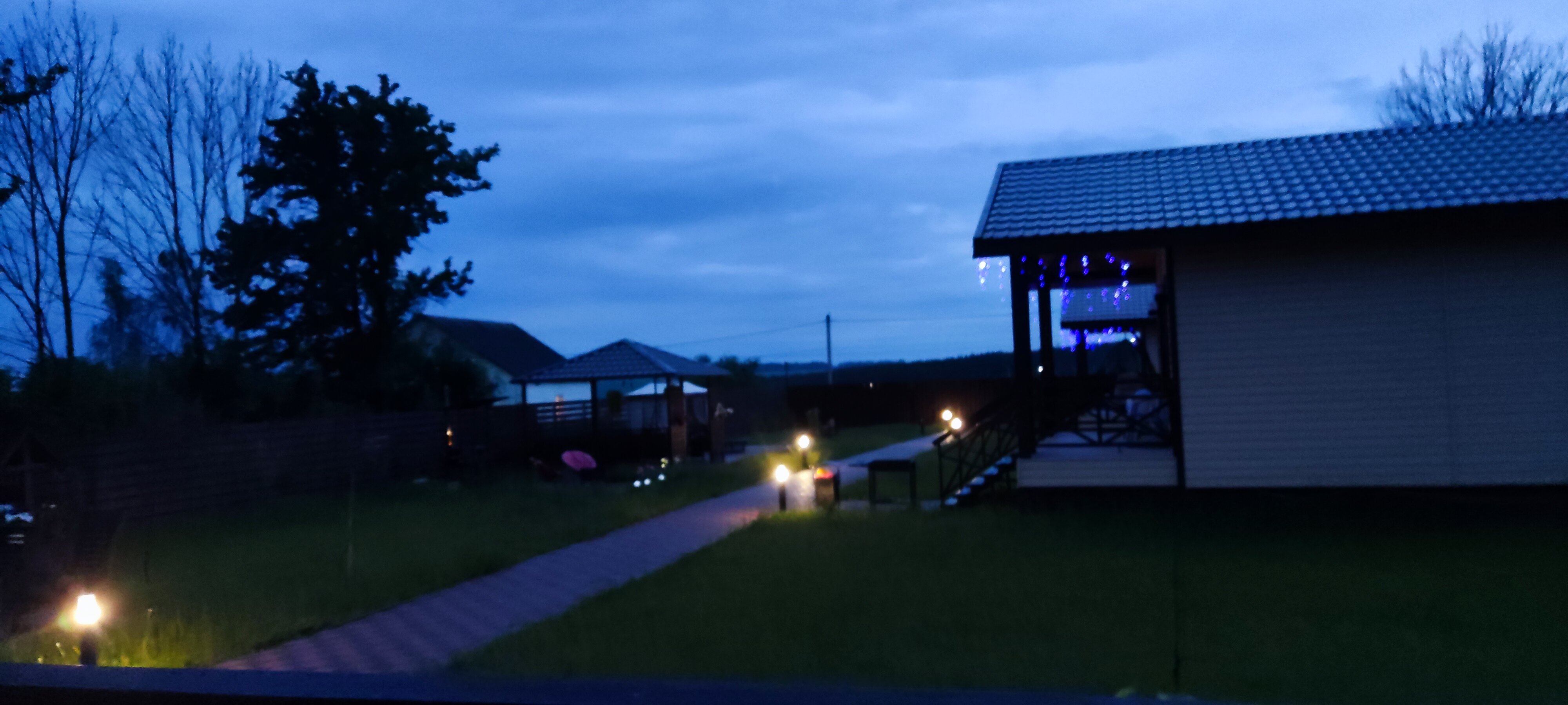 Фото Вишневый сад