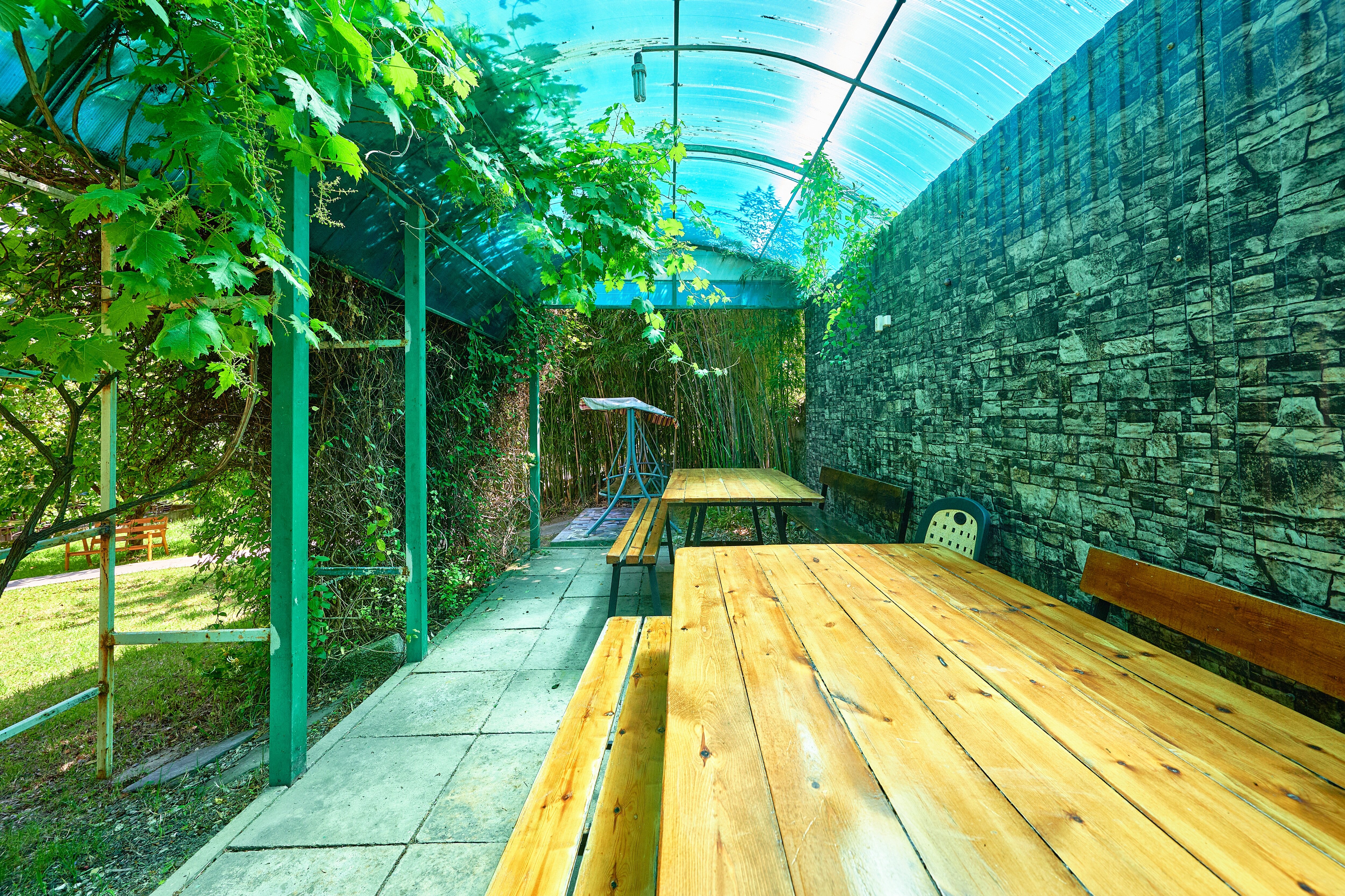 Фото Мечта - 3