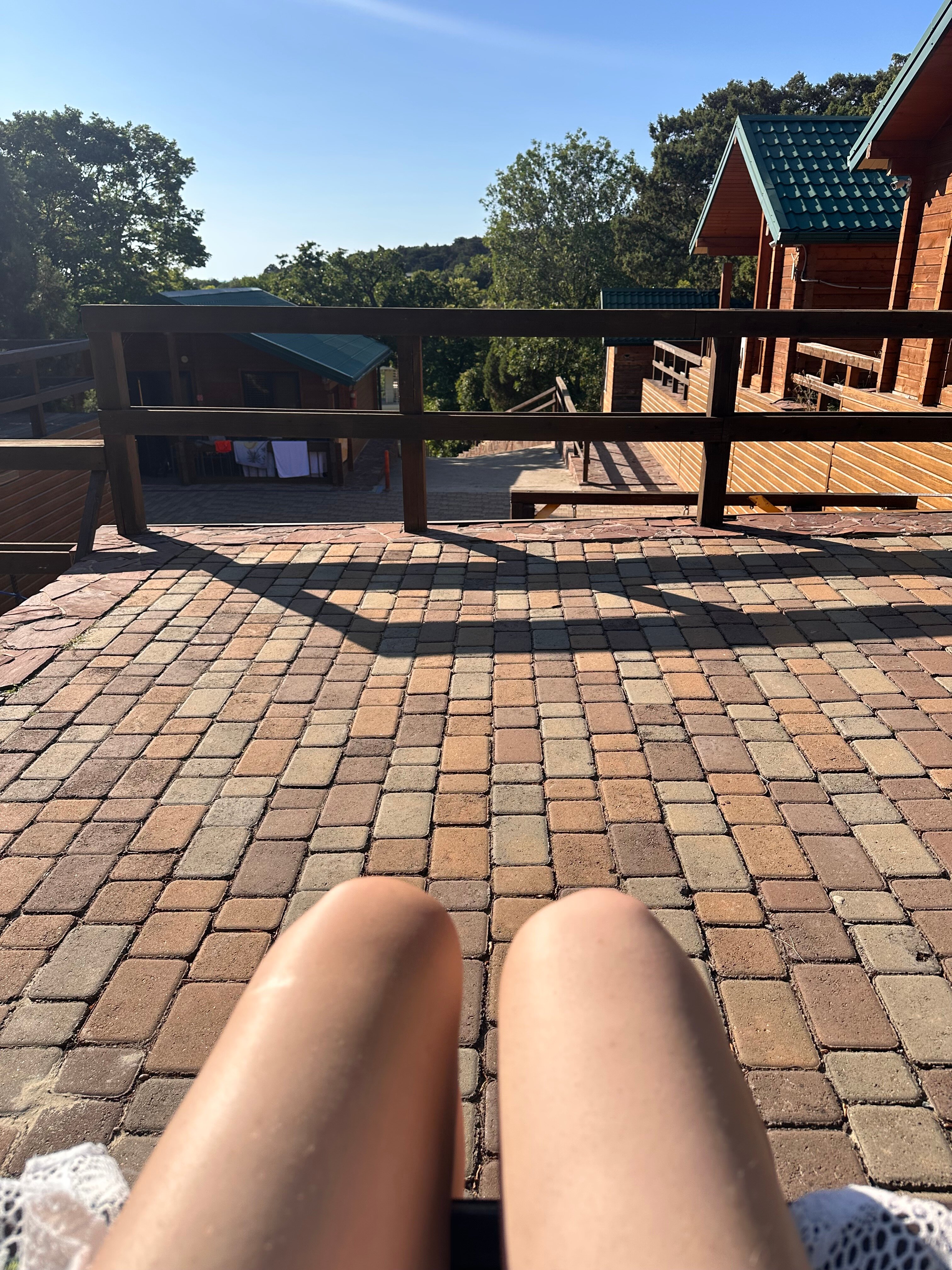 Фото Лесной дворик