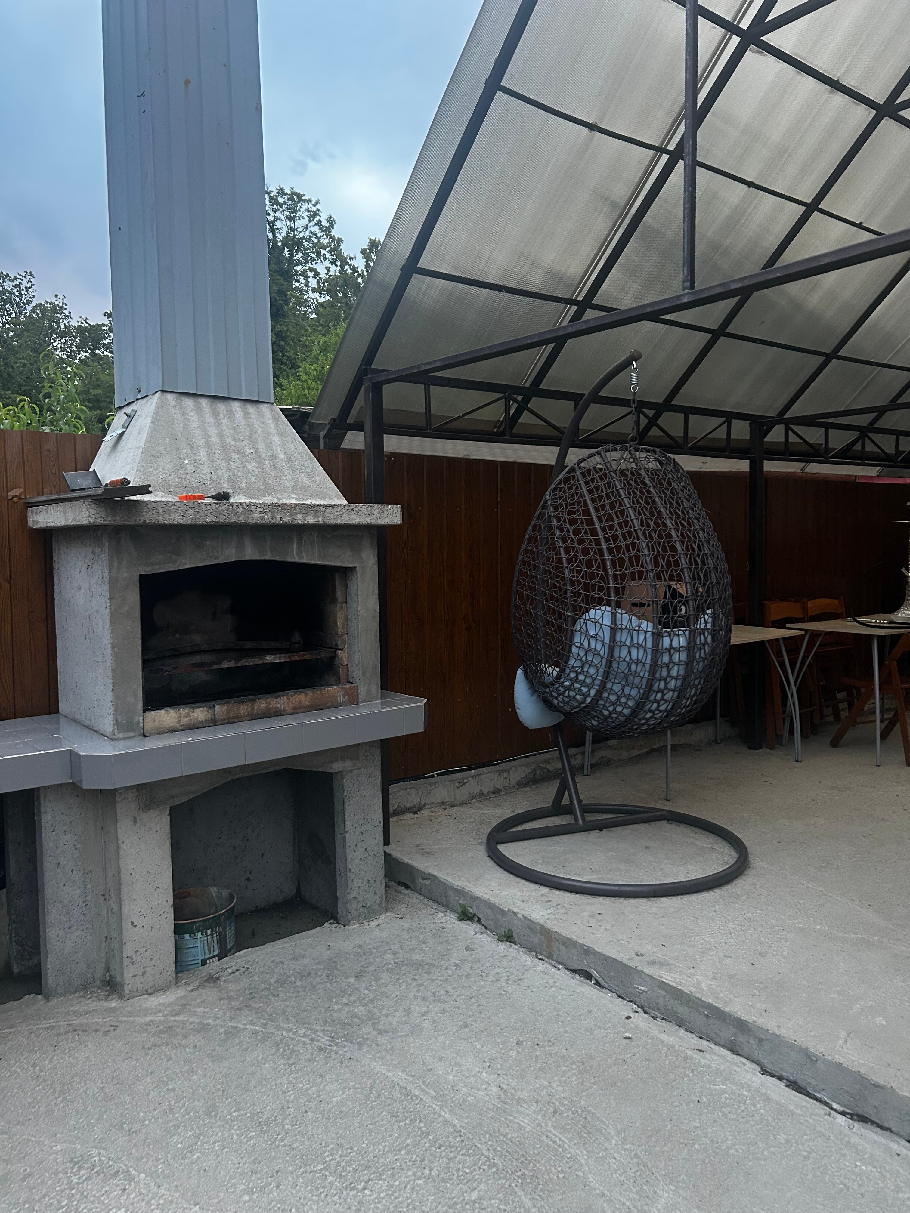 Фото Дельфин