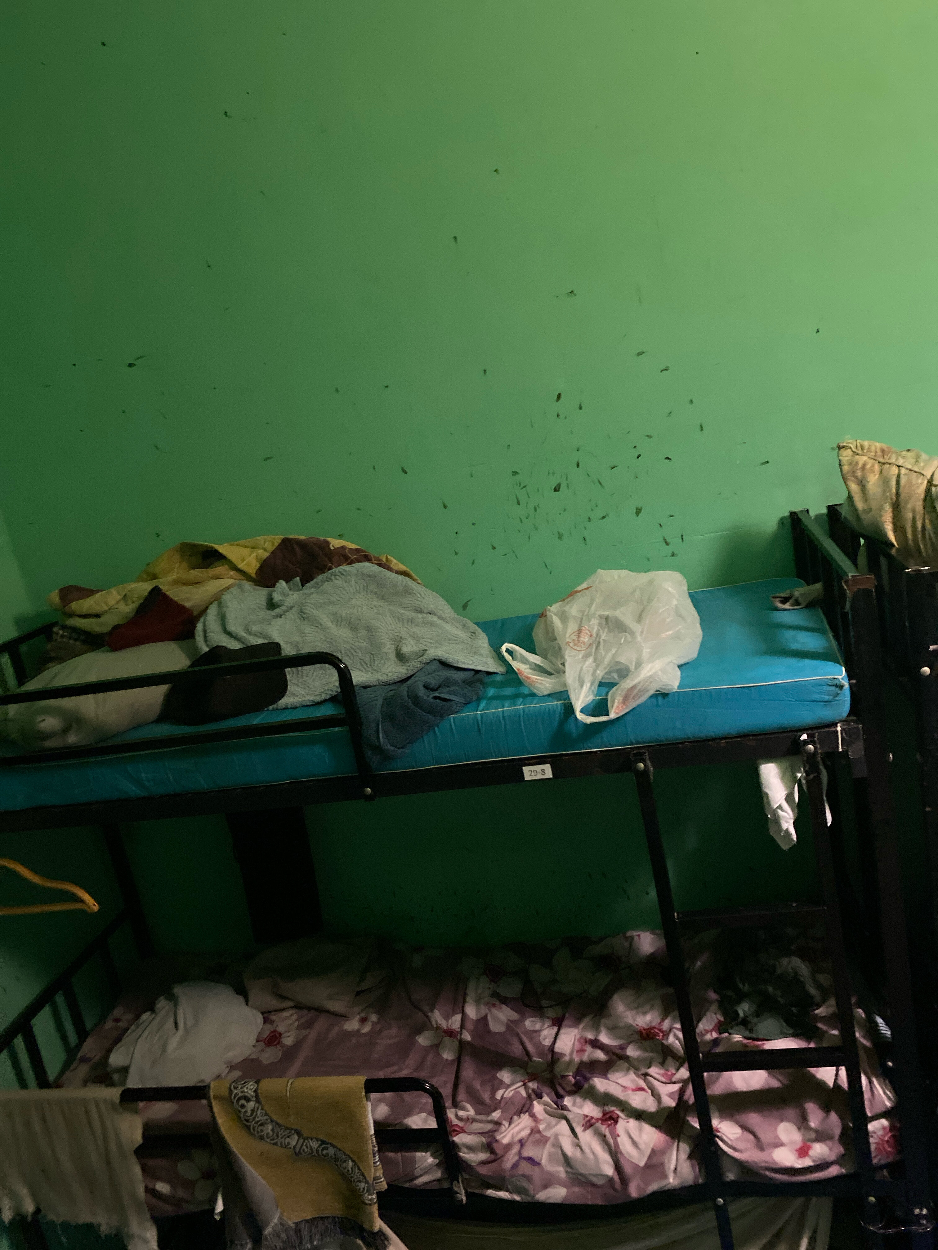 Фото Вежливый Лось