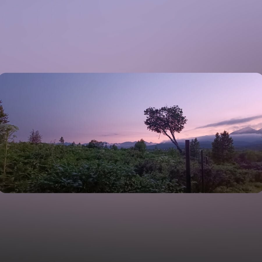 Фото Ипиней