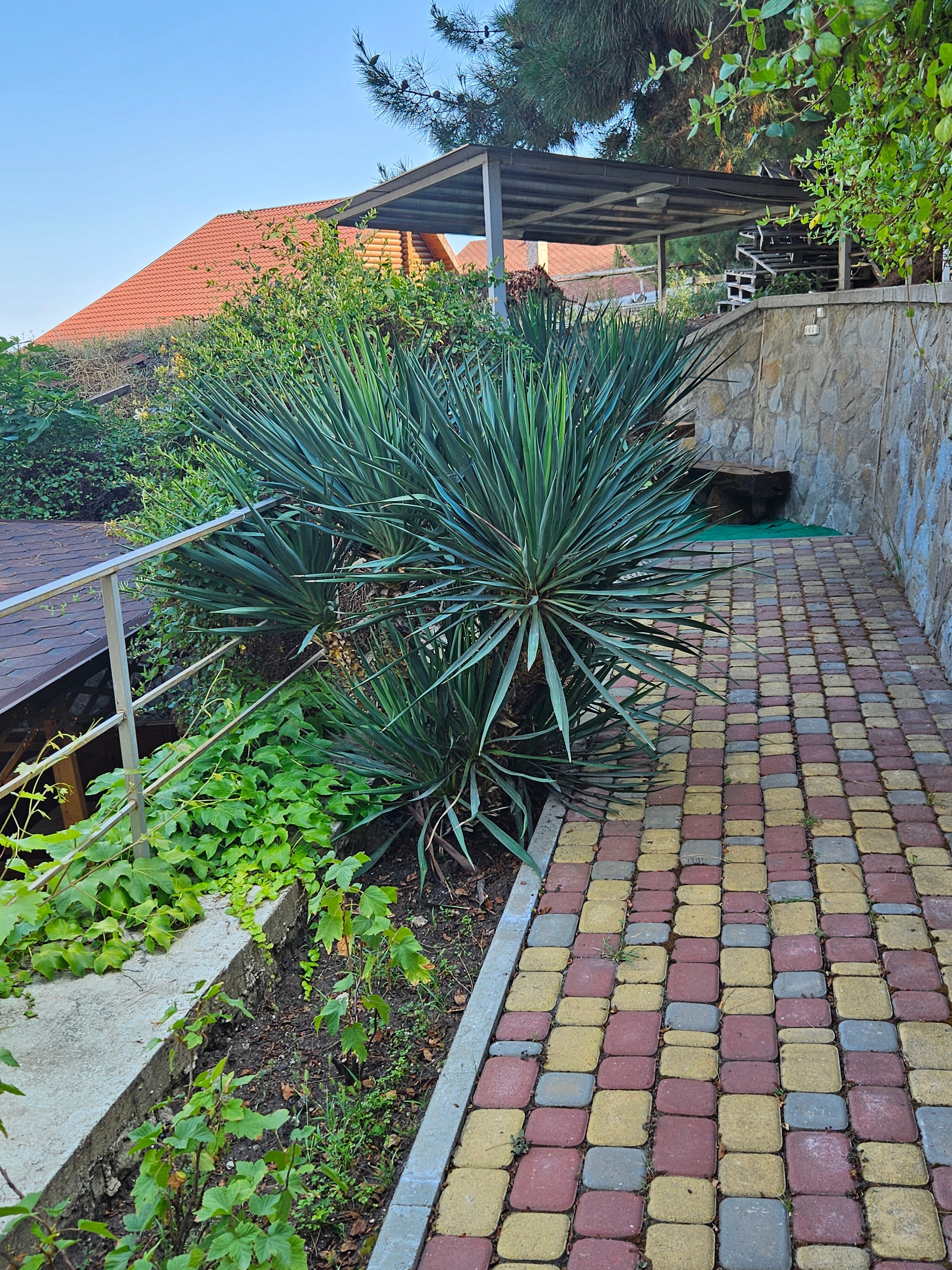 Фото Лукоморье