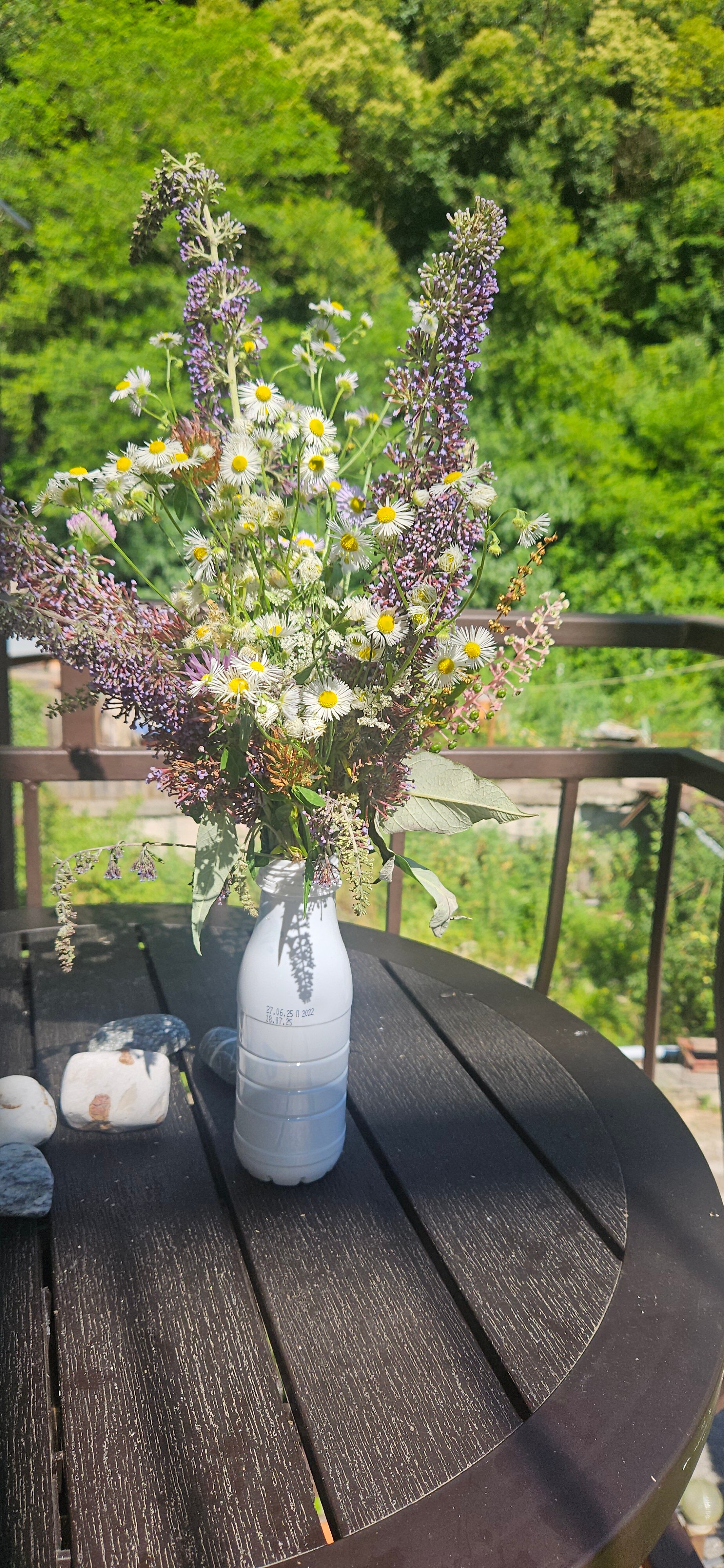 Фото Вилла Леона