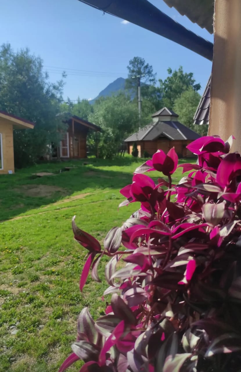 Фото Алтайна