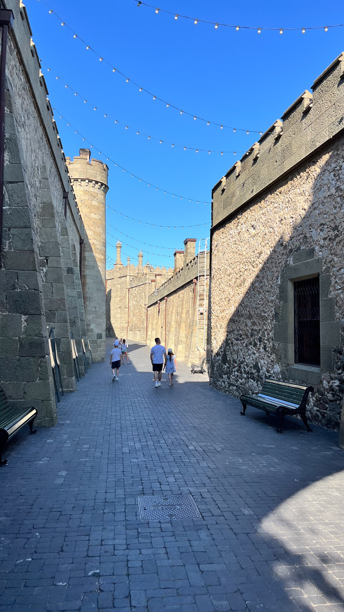 Фото Форест