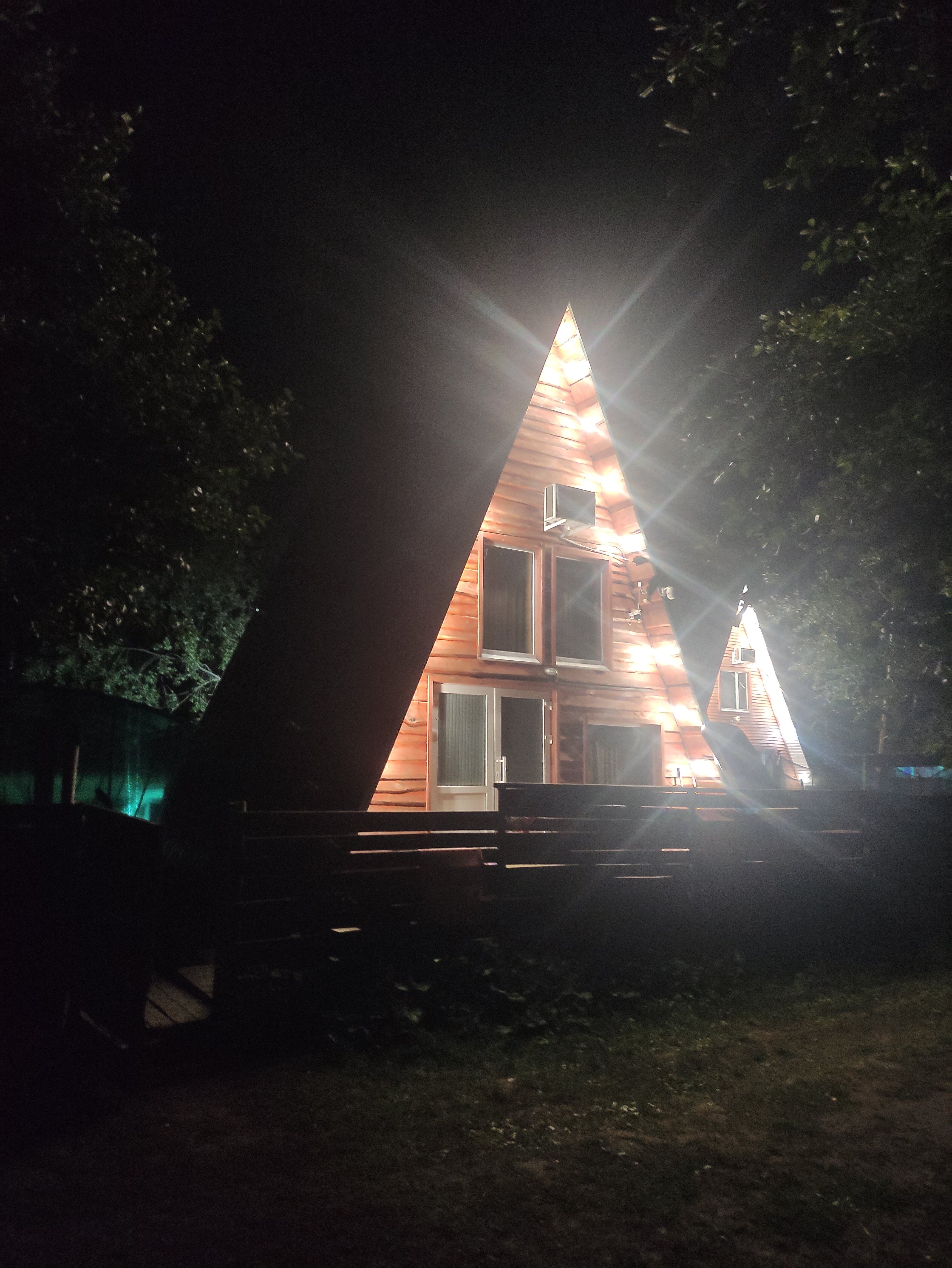 Фото Облепиха