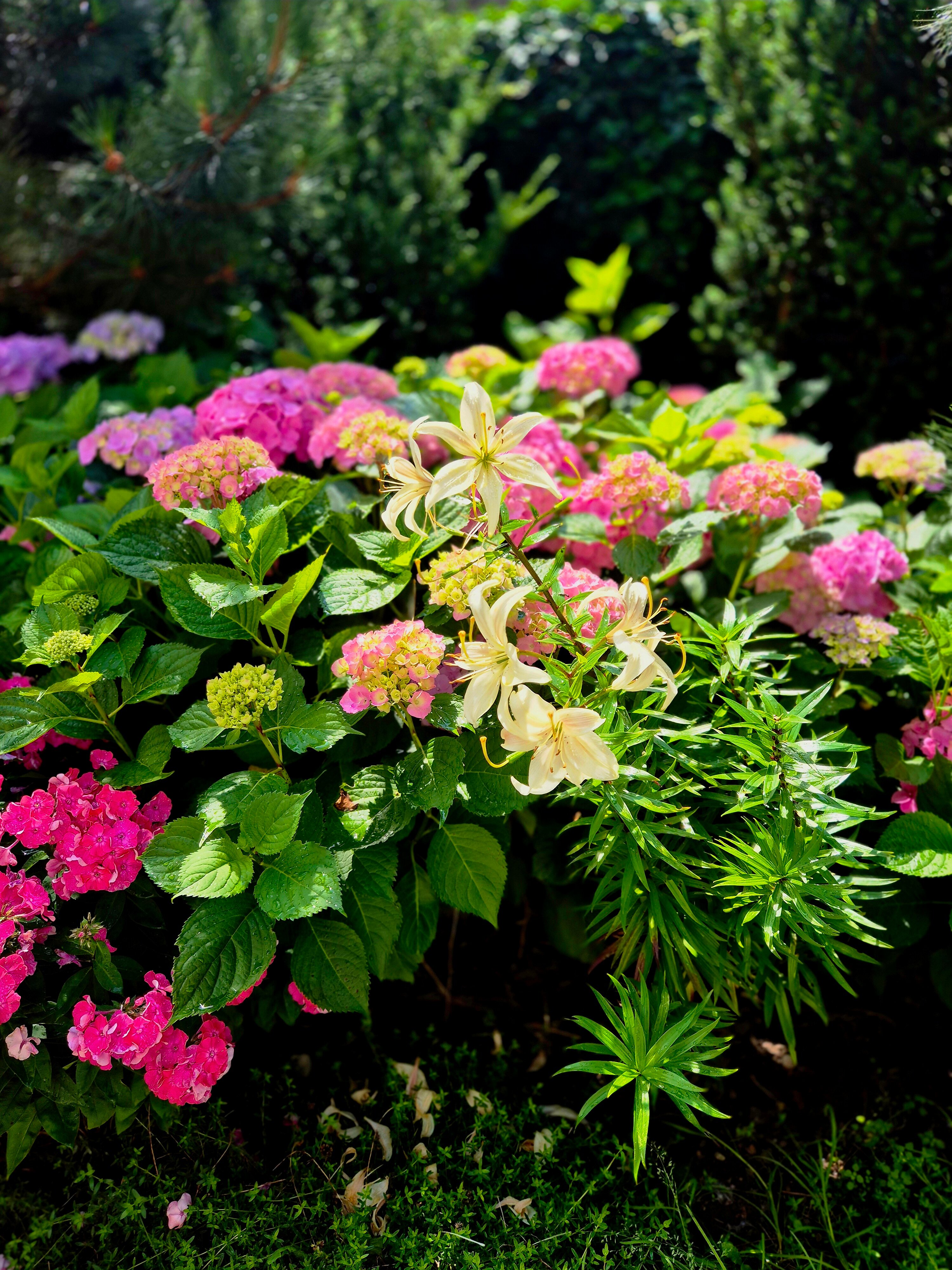 Фото Дельта