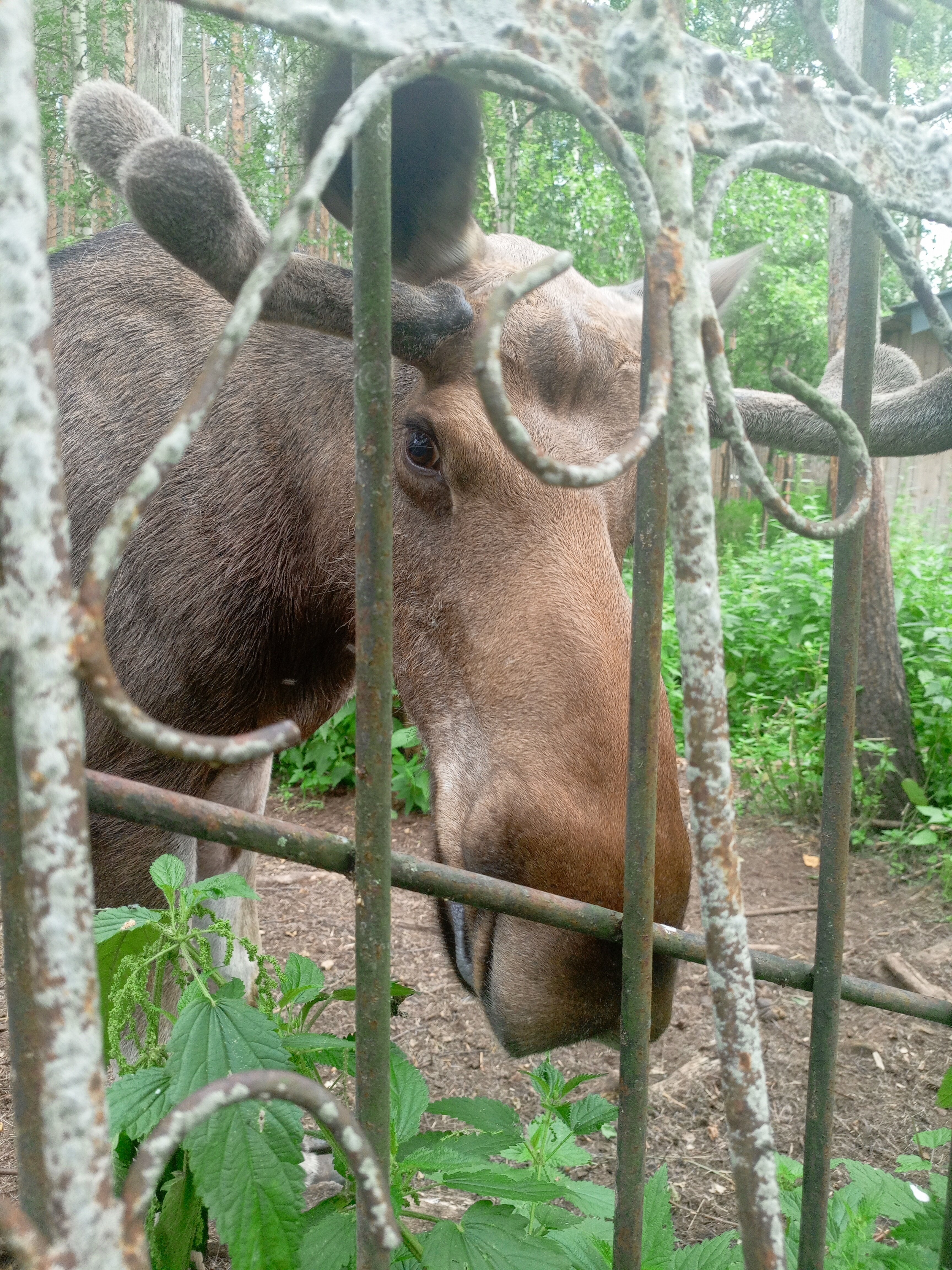 Фото Усадьба