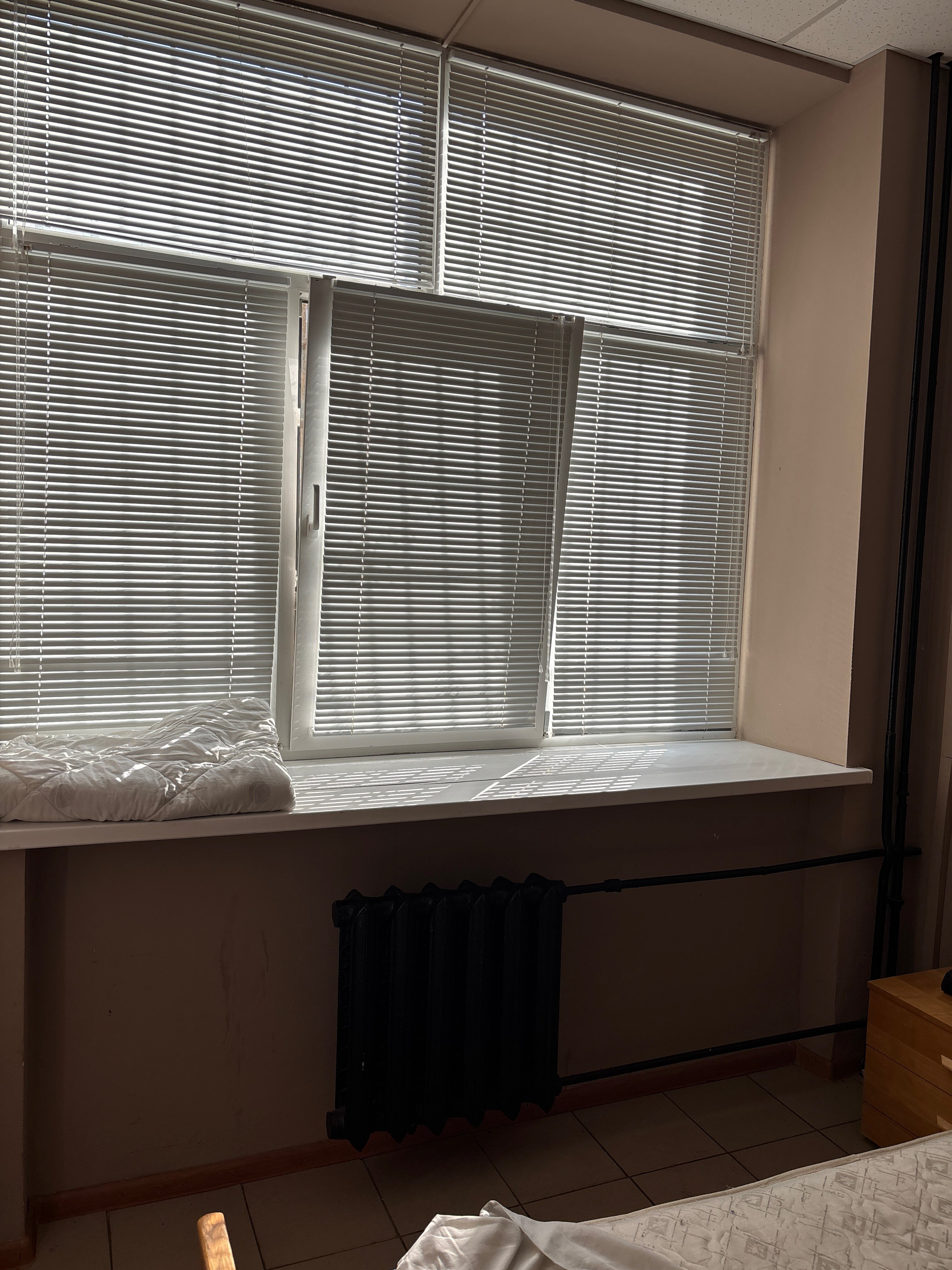 Фото Берлога