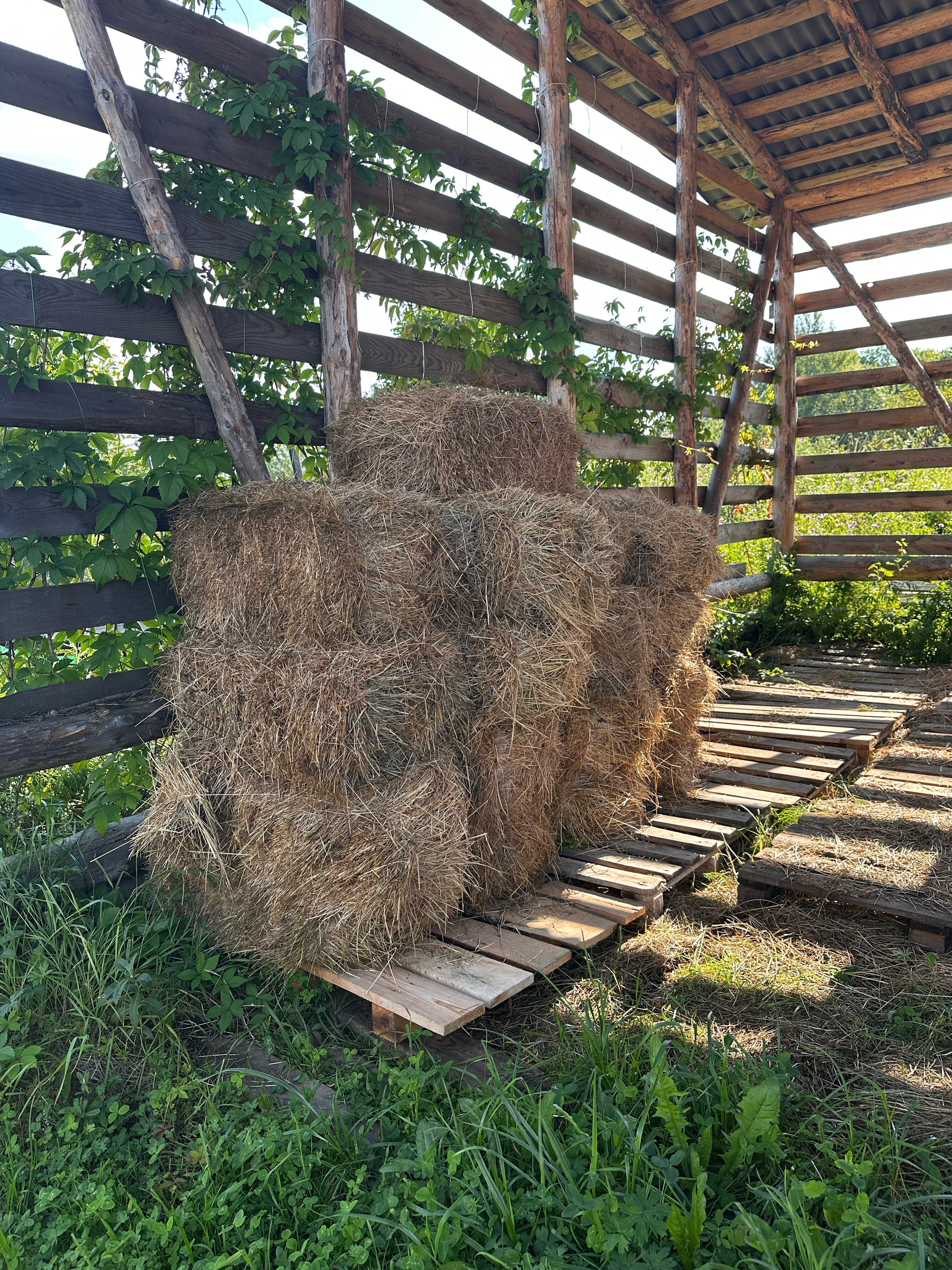 Фото Лаки Лейк