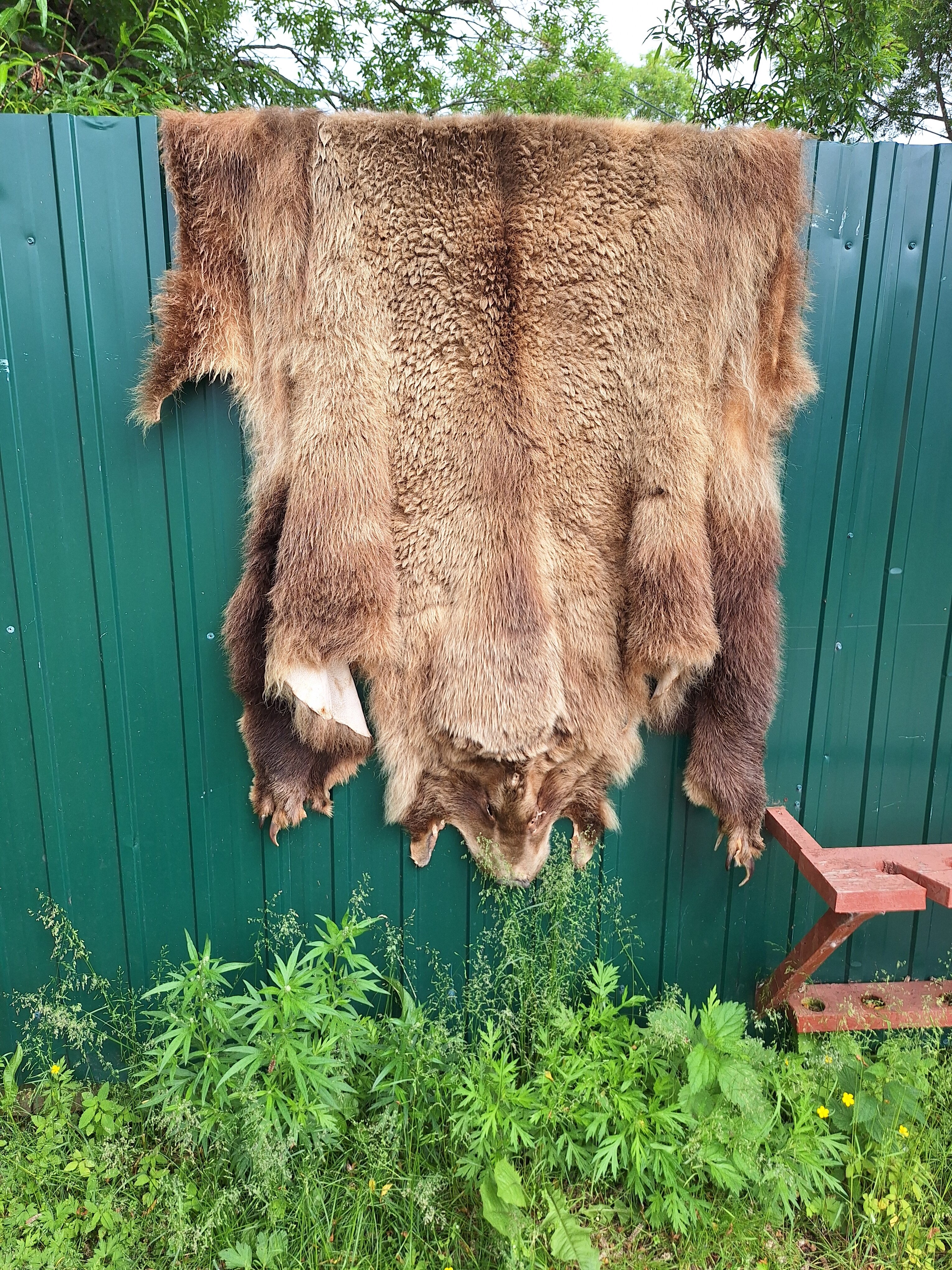 Фото Биг ривер