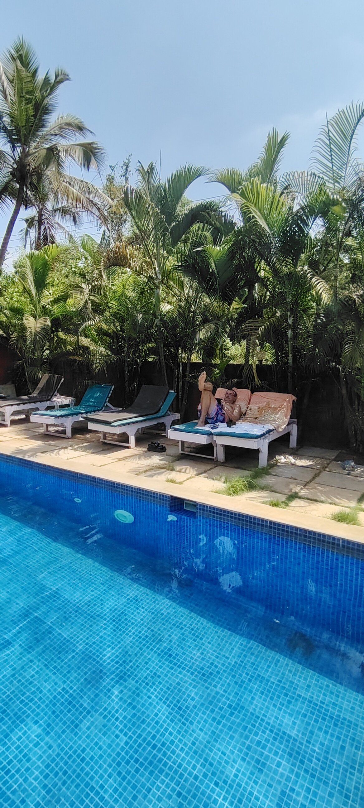 Фото Morjim Hermitage