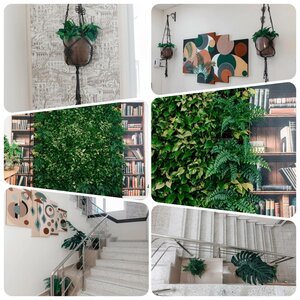 Иное жильё Континенталь Green Dream