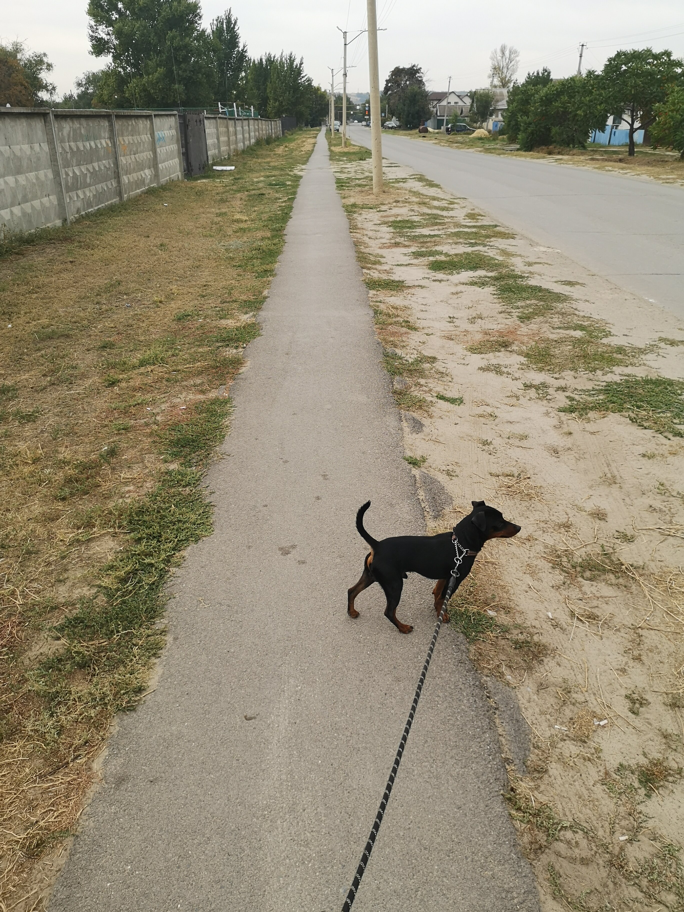 Фото Привал на перекрёстке