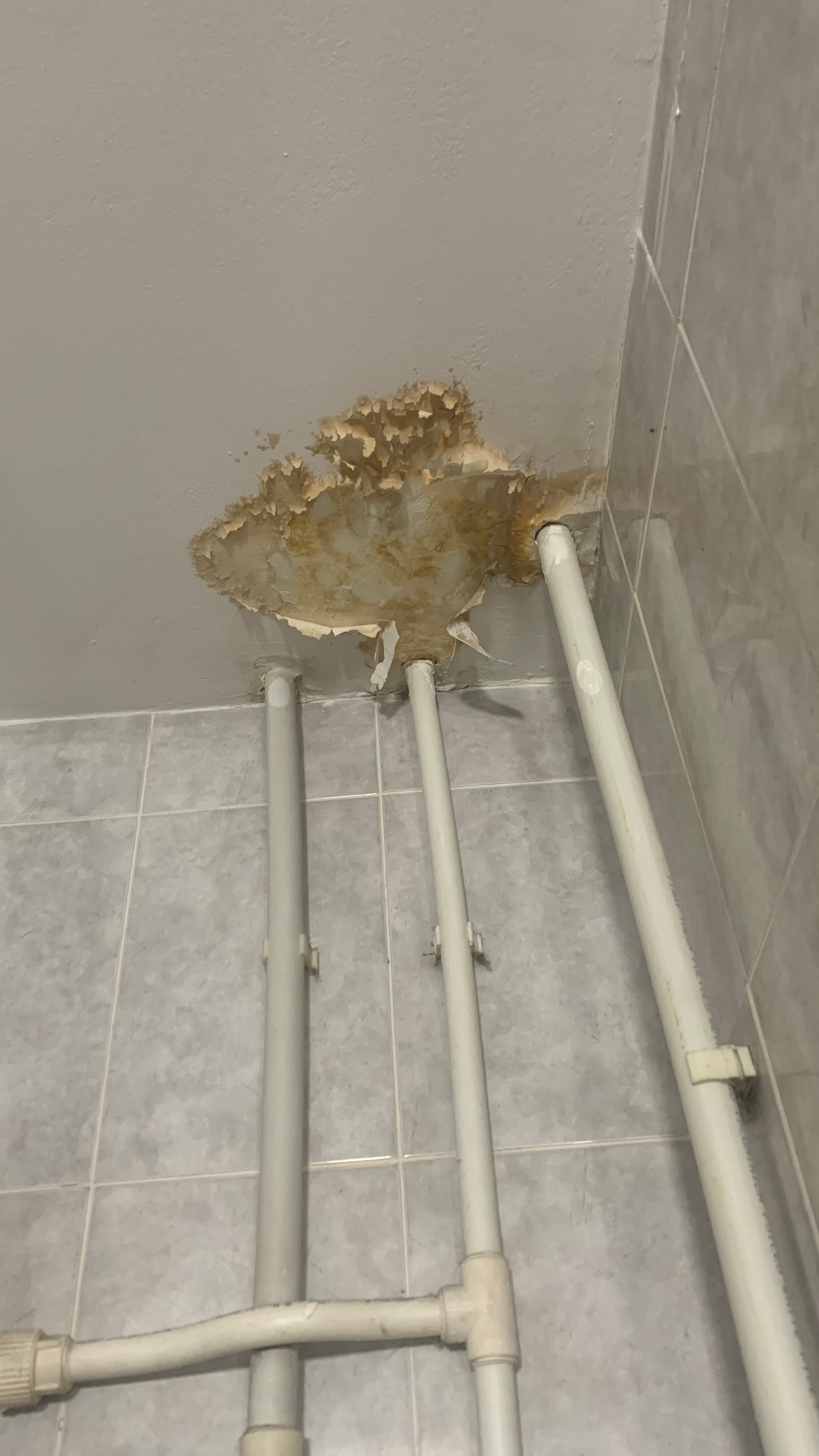 Фото У Петровича