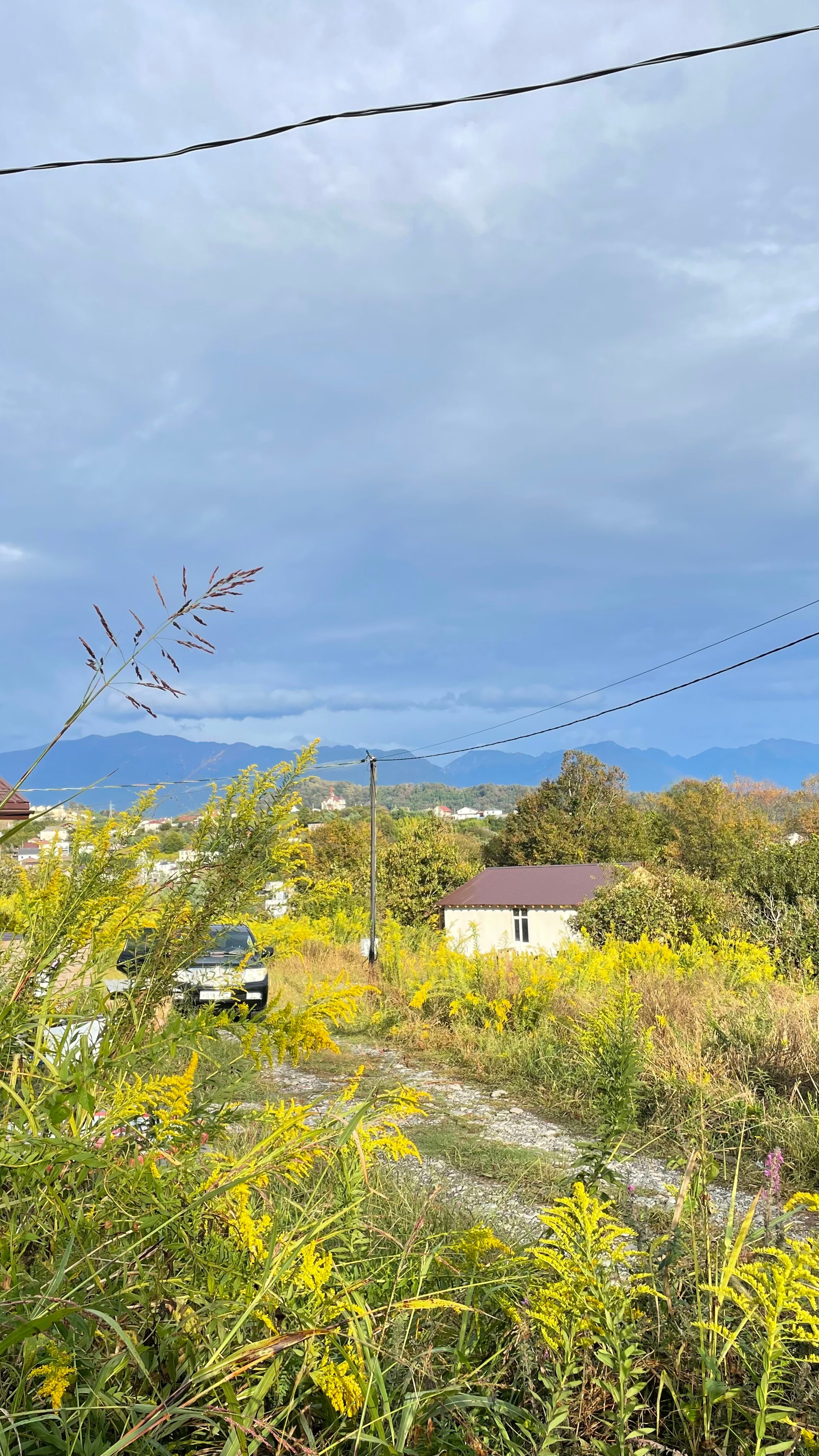 Фото Комаровские Поляны