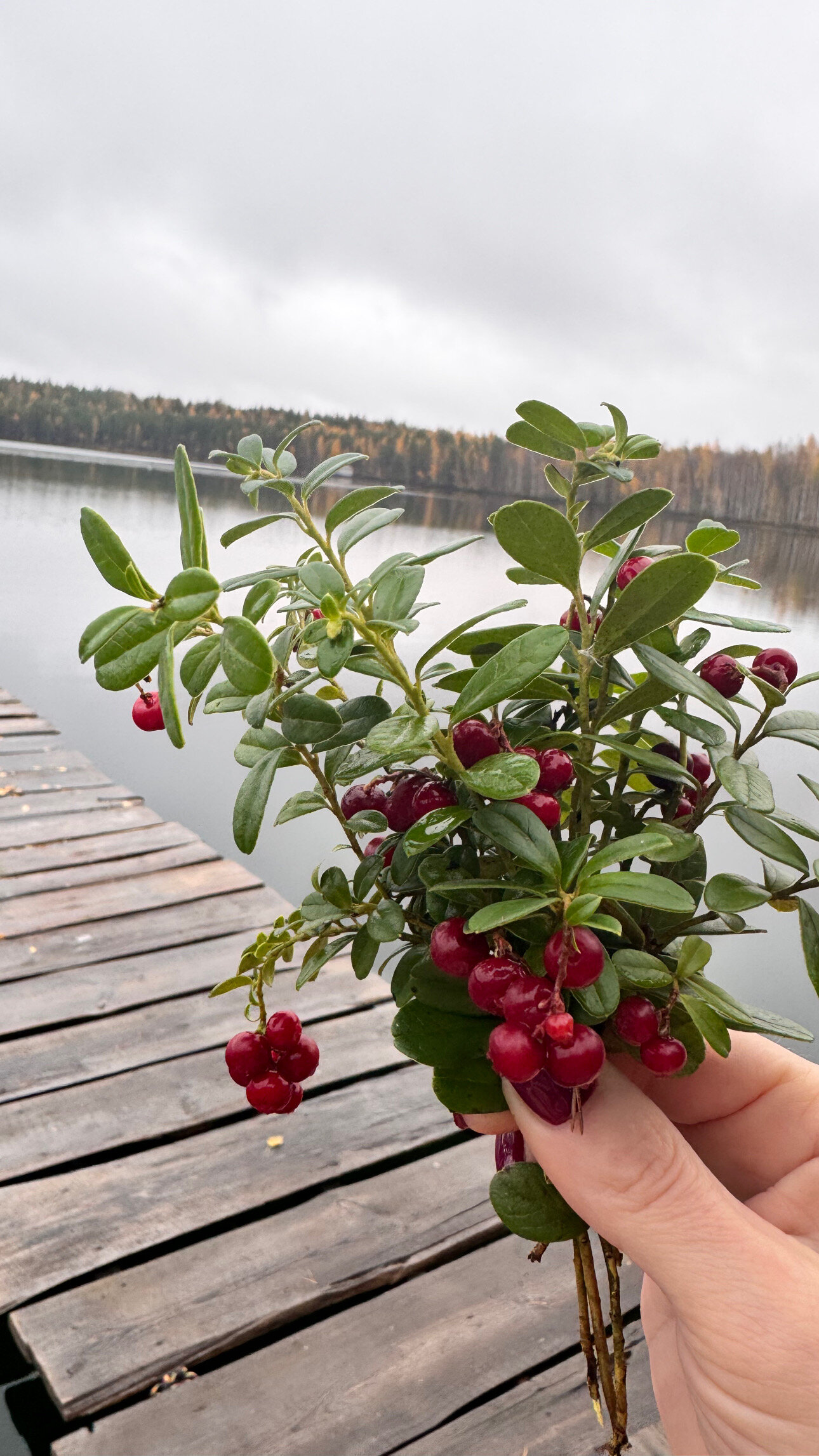 Фото Отель «Оланга»