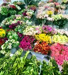 Оптовая база цветов (Bolshaya Pokrovskaya ulitsa, 35Б), flower shop