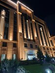 Ani Grand Hotel (Hanrapetutyan Street, 65), hotel