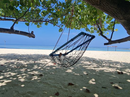 Фото Liberty Guest House Maldives