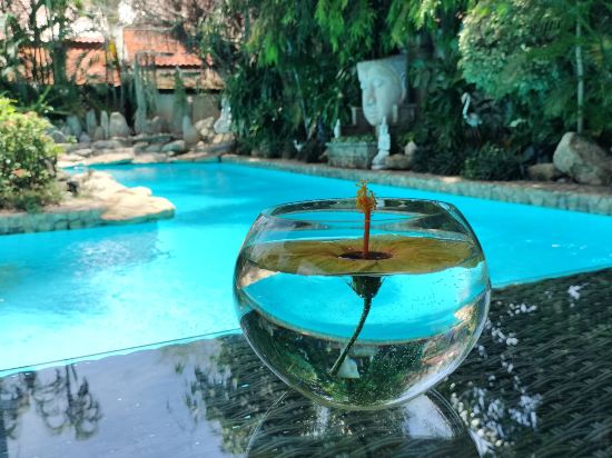 Фото LePrive Resort