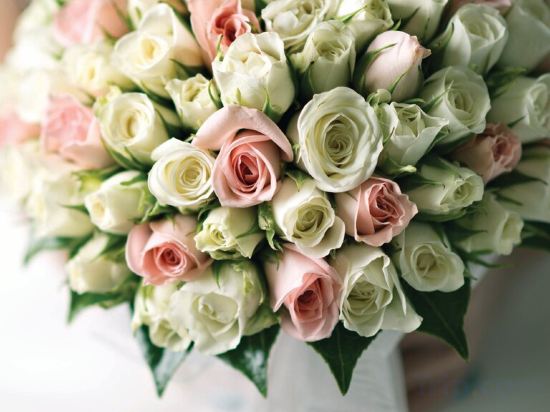 Фото Fairfield by Marriott Amritsar