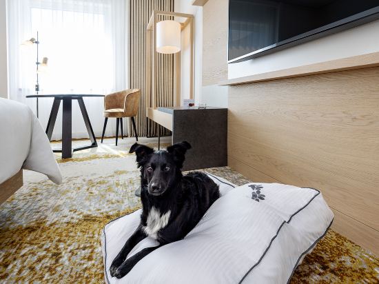 Фото The Westin Grand Frankfurt