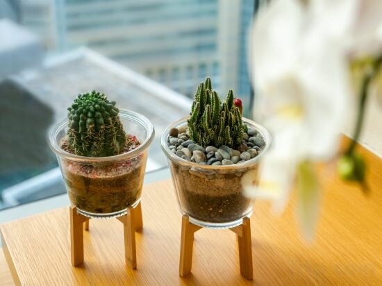 Фото Oasia Hotel Novena, Singapore