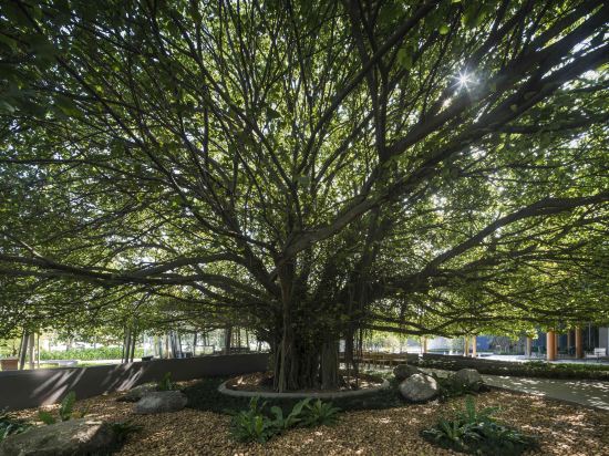 Фото Navana Nature Escape