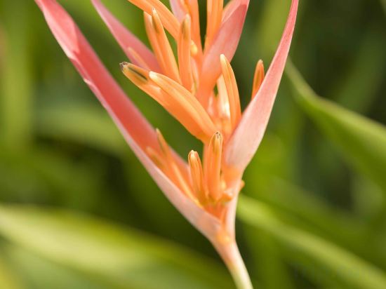 Фото Hotel Muse Bangkok Langsuan - MGallery Collection