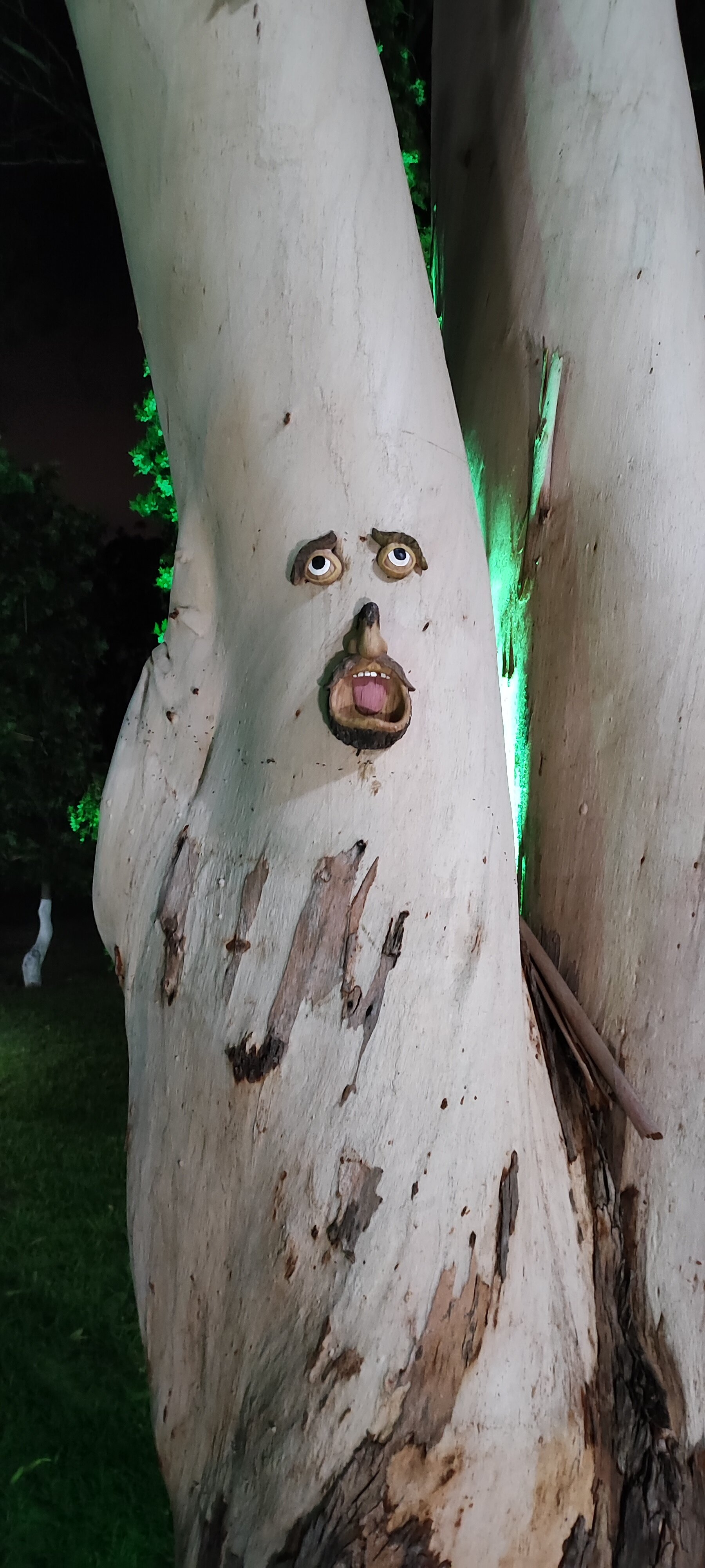 Фото Базальт