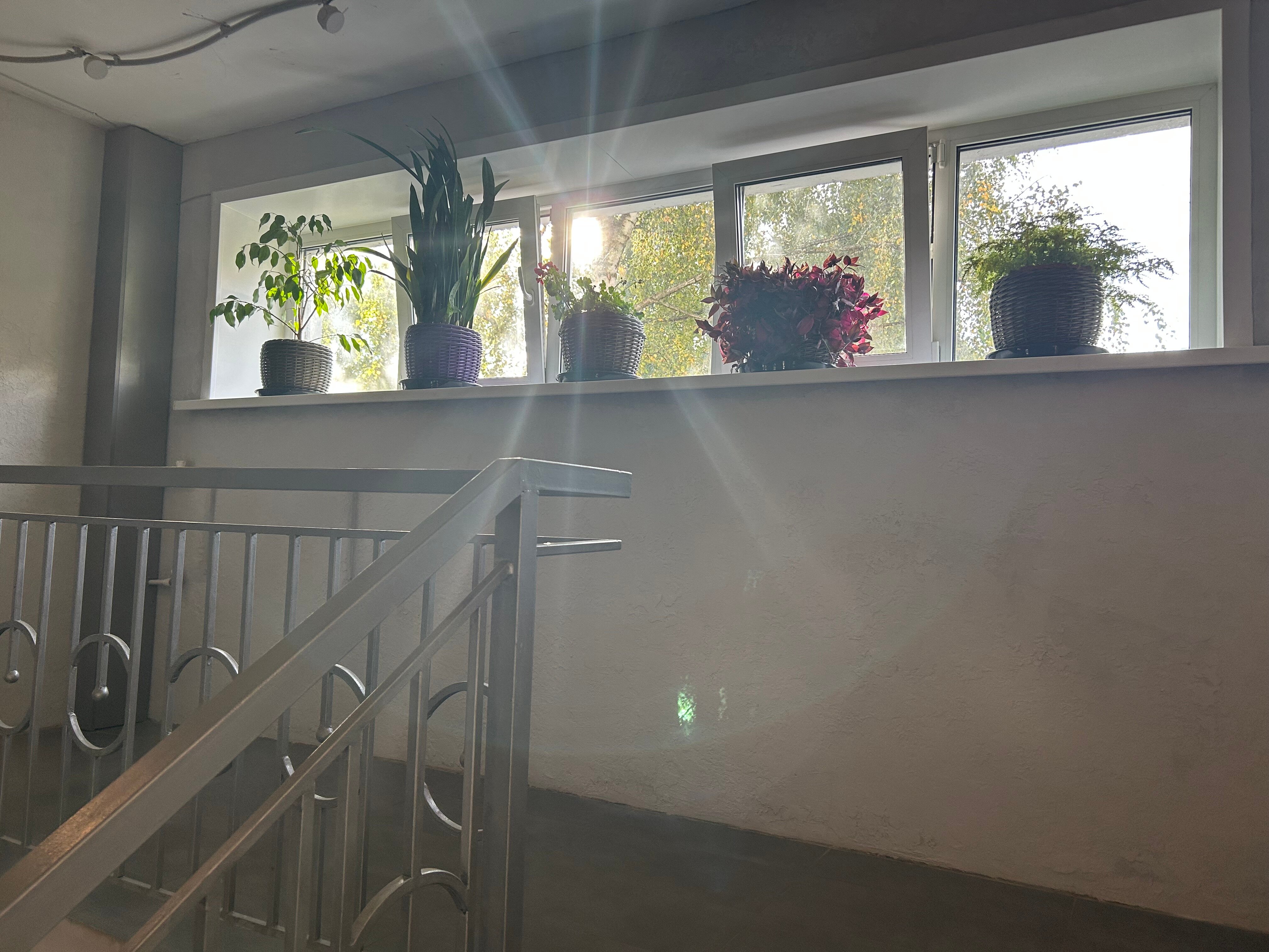 Фото Созвездие