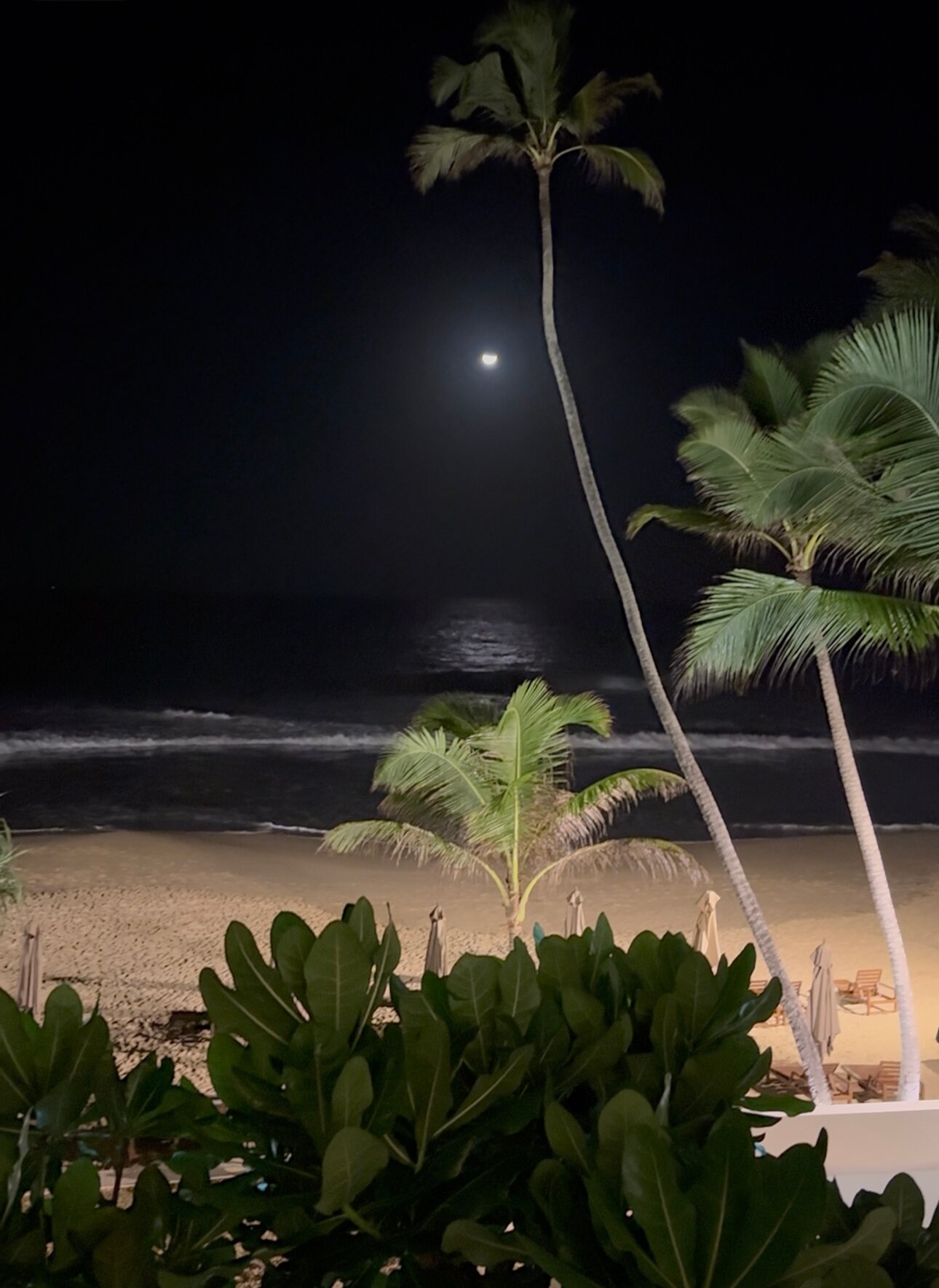 Фото Riff Hikkaduwa