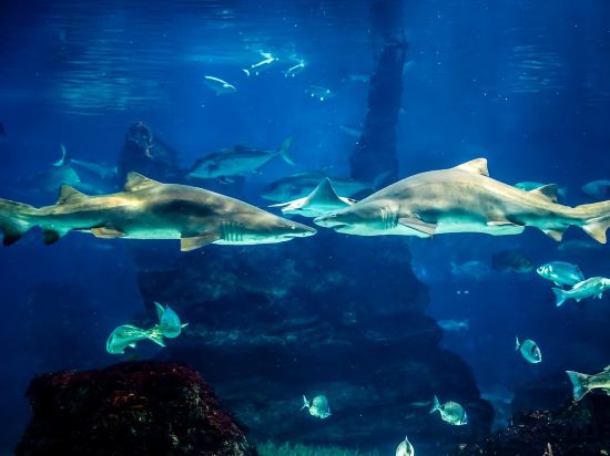 Фото Отель H10 Port Vell