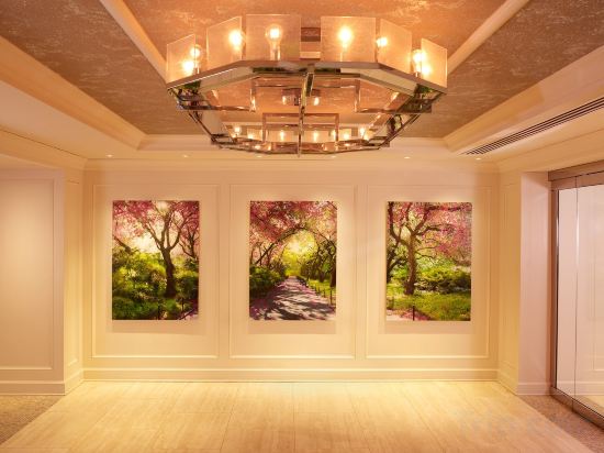 Фото Park Central