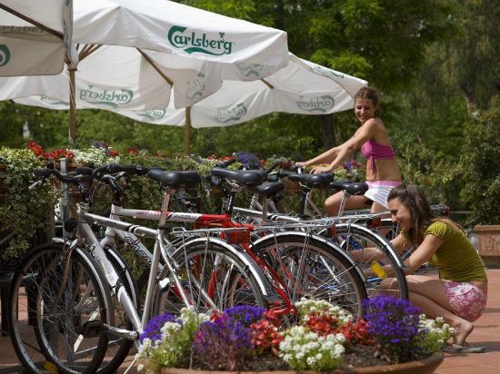 Фото hu Roma camping in town