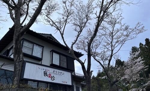 Фото 11003094044