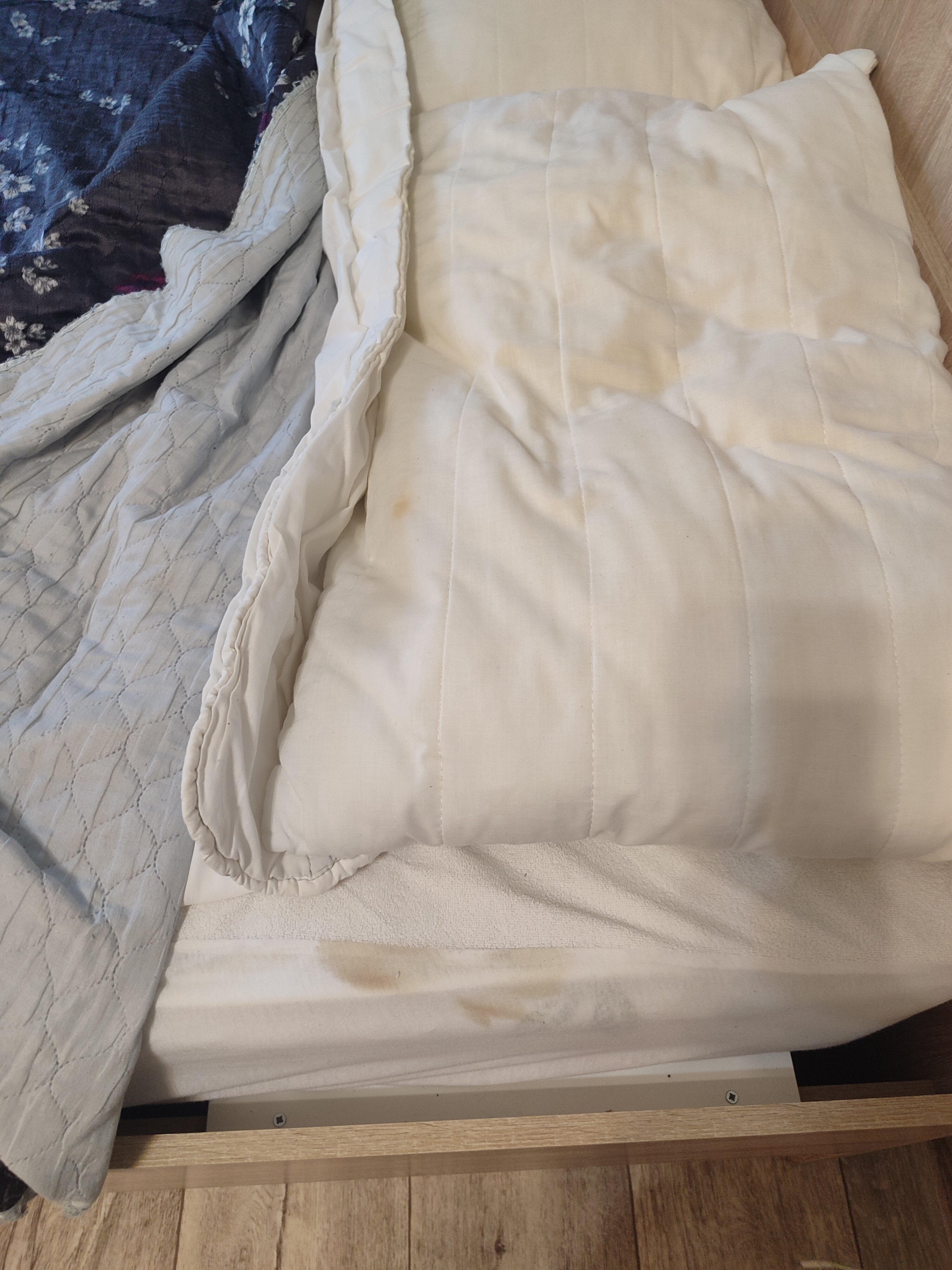 Фото Добрые Сутки