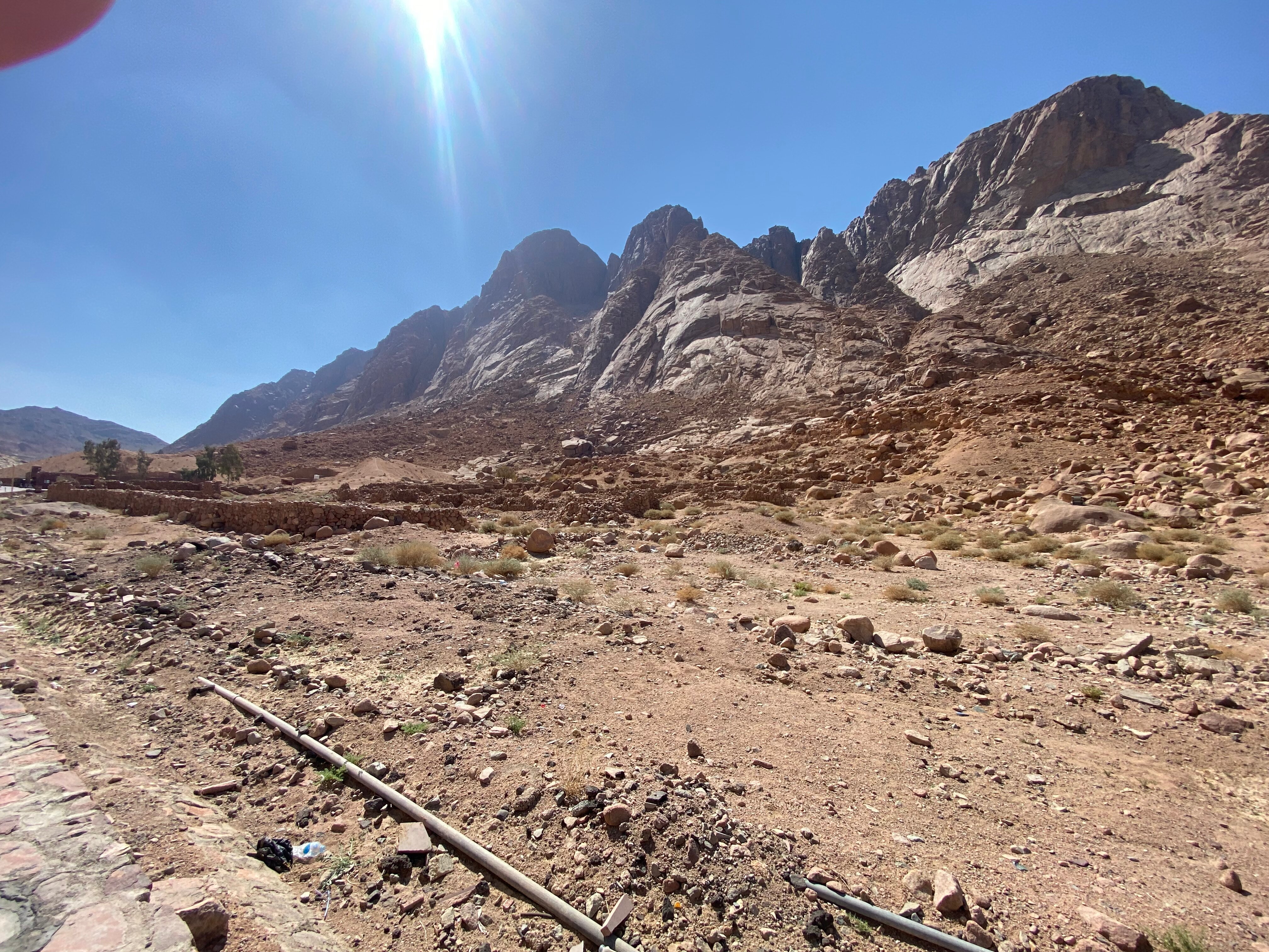 Фото Parrotel Beach Resort