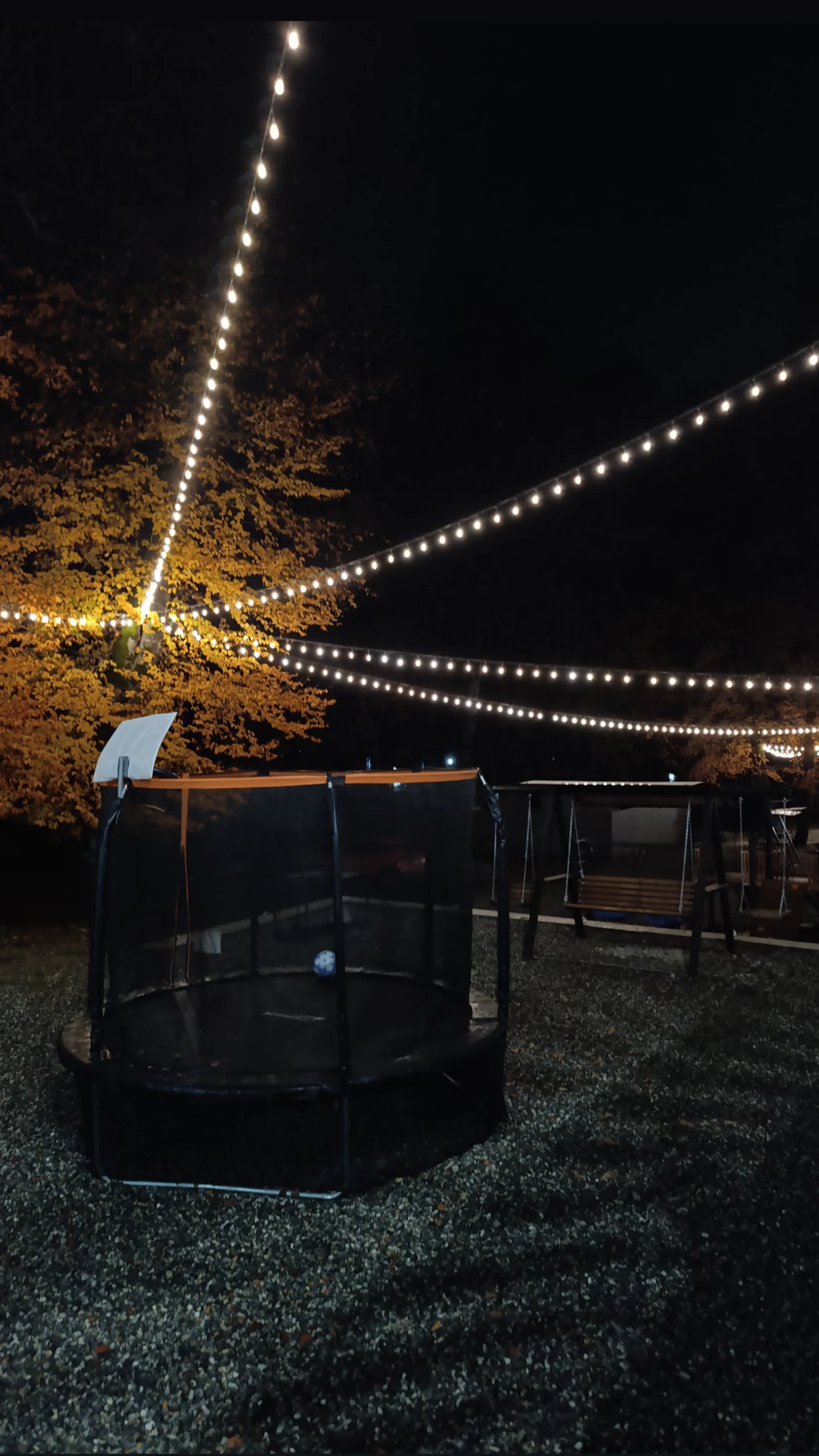 Фото Альбор