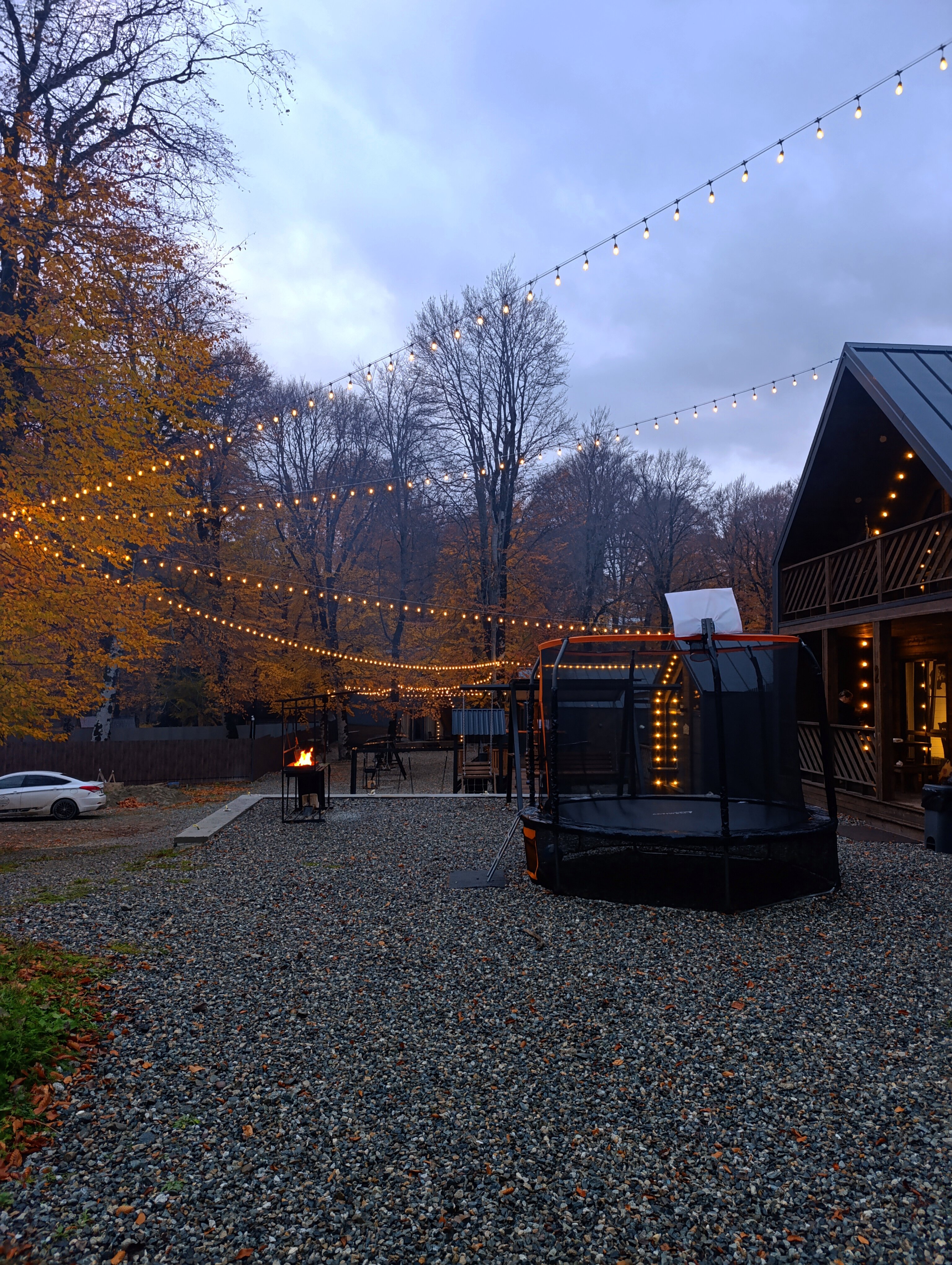 Фото Альбор