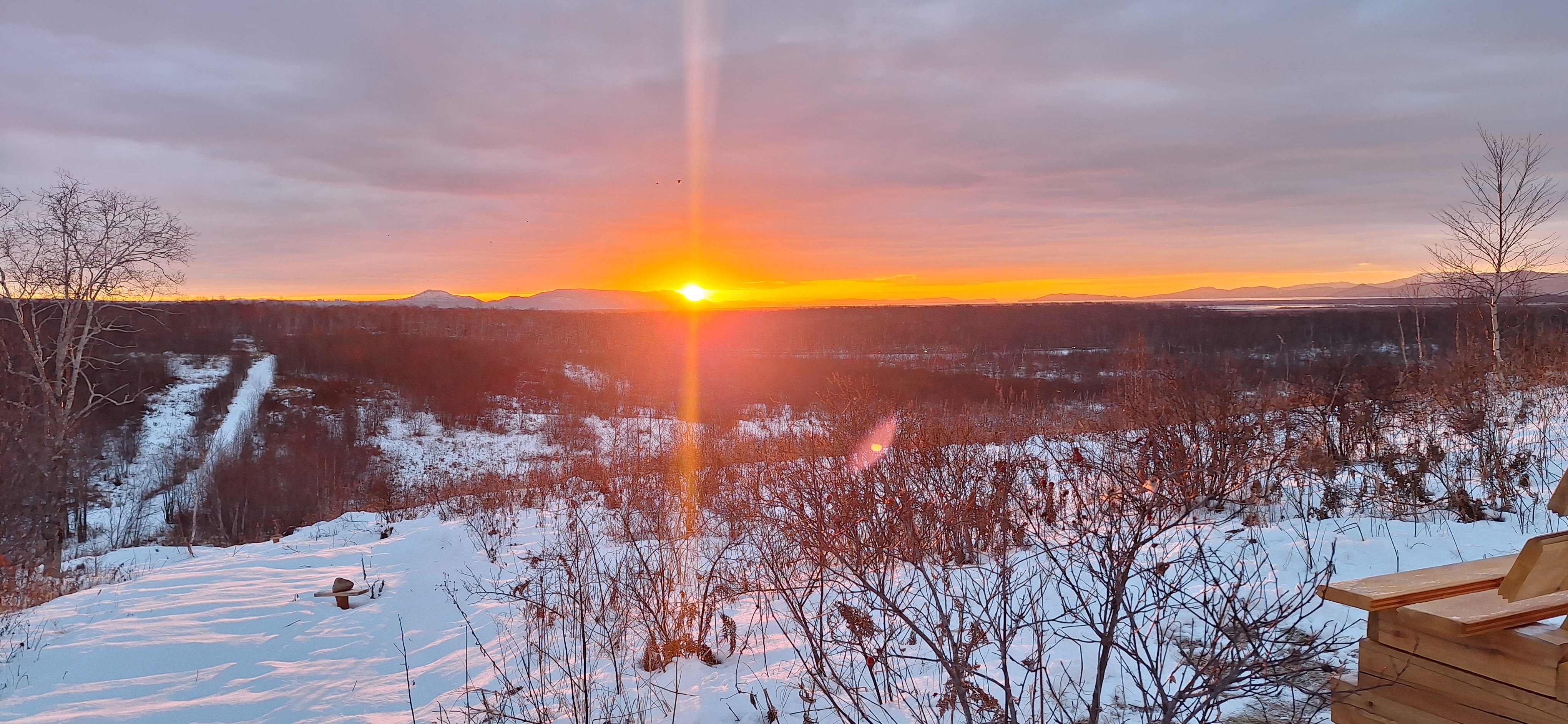 Фото Ипиней